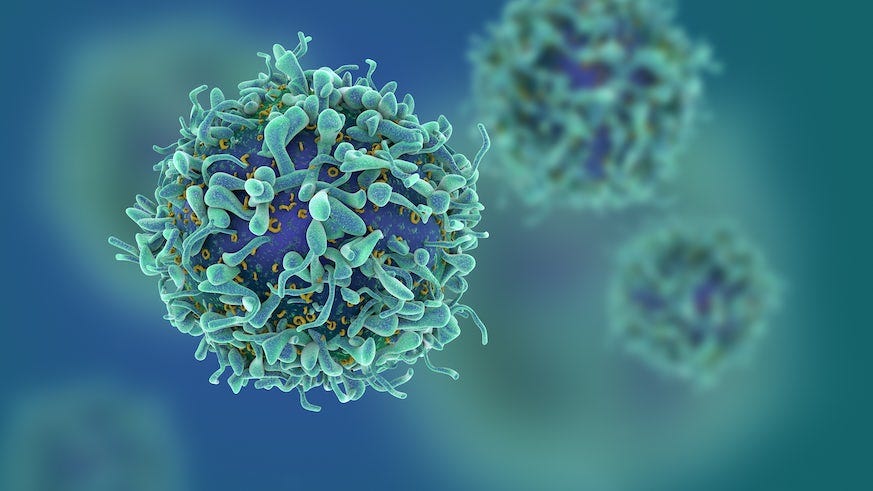 Targeting cancer without destroying healthy T-cells - News - Cardiff  University