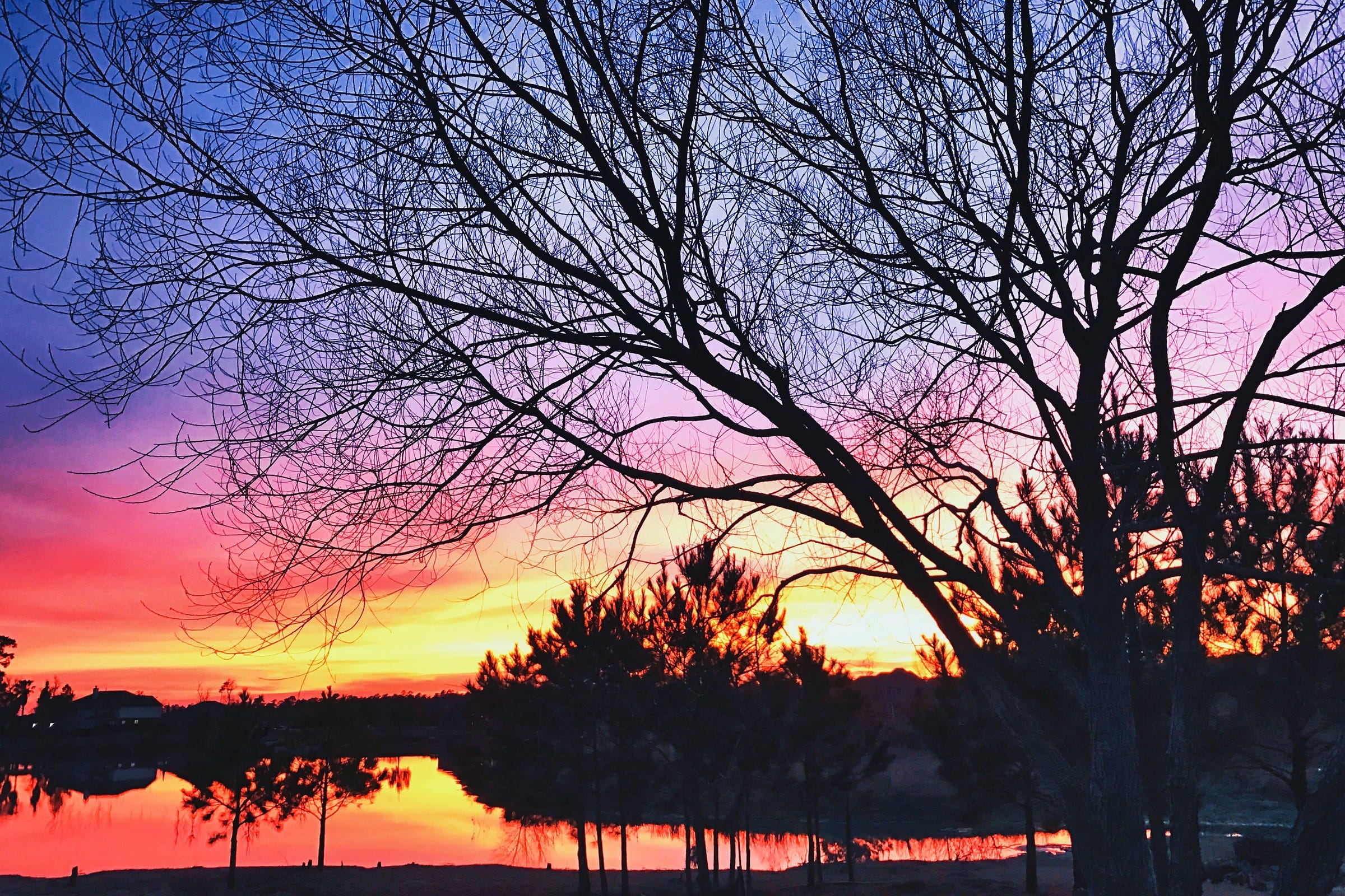 The sunset reflected in the lake; the sky changing from dark blue to orange, to yellow; trees shadowed on the shore and the bare branches of a willow tree stretch across the scene from right to left.