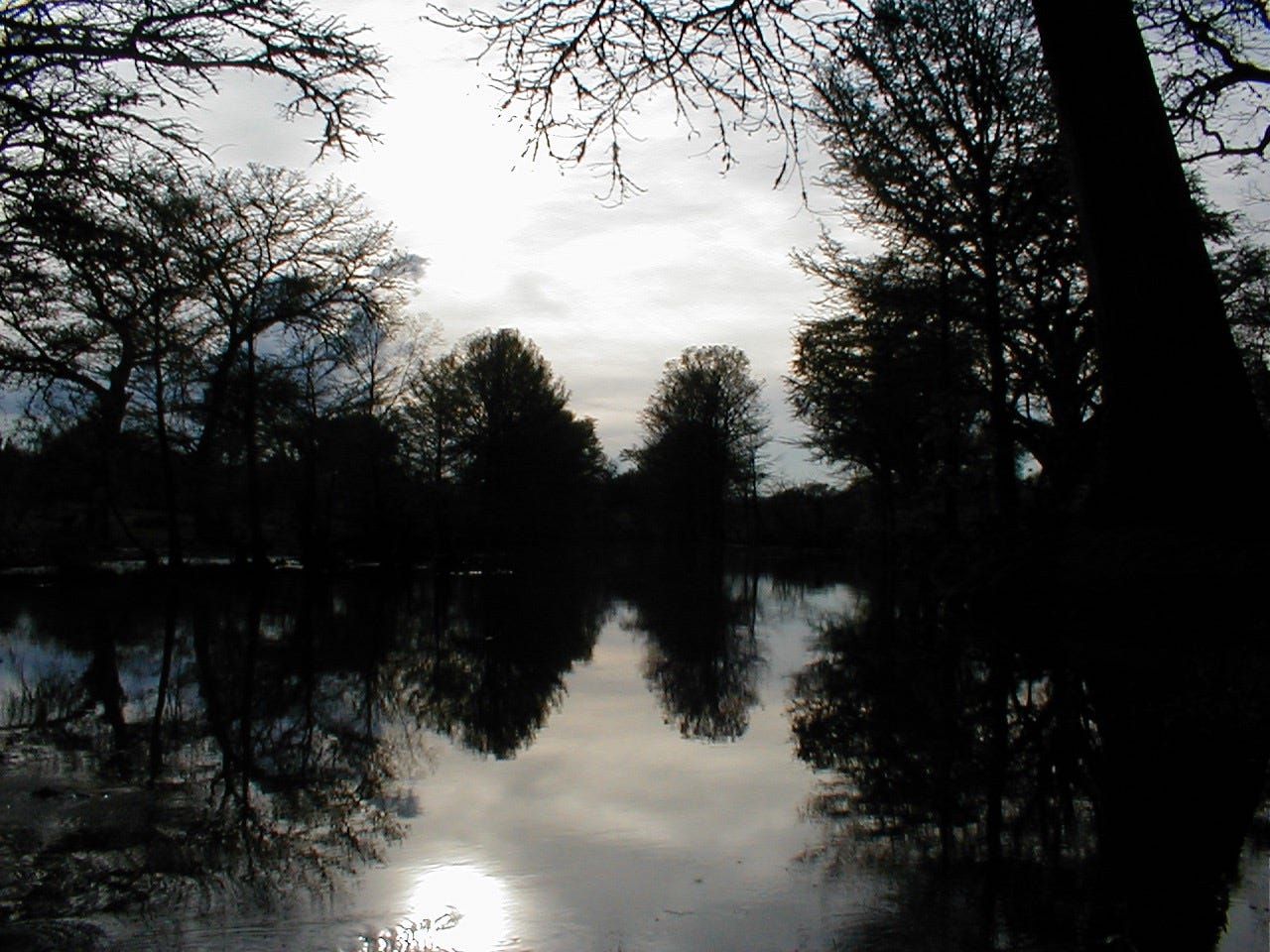 refections at dusk of the trees in the slow moving river