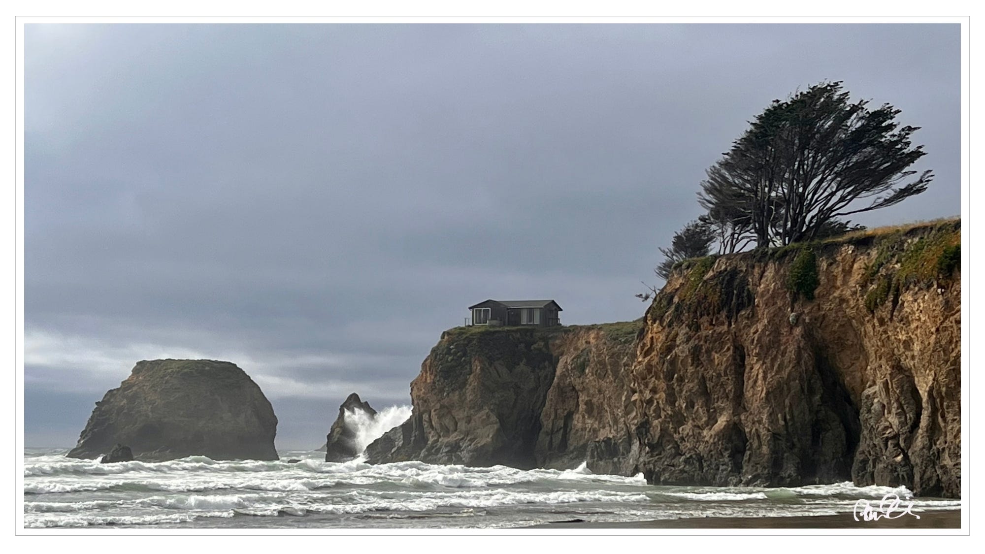 Pacific ocean, cliffside house, windswept trees