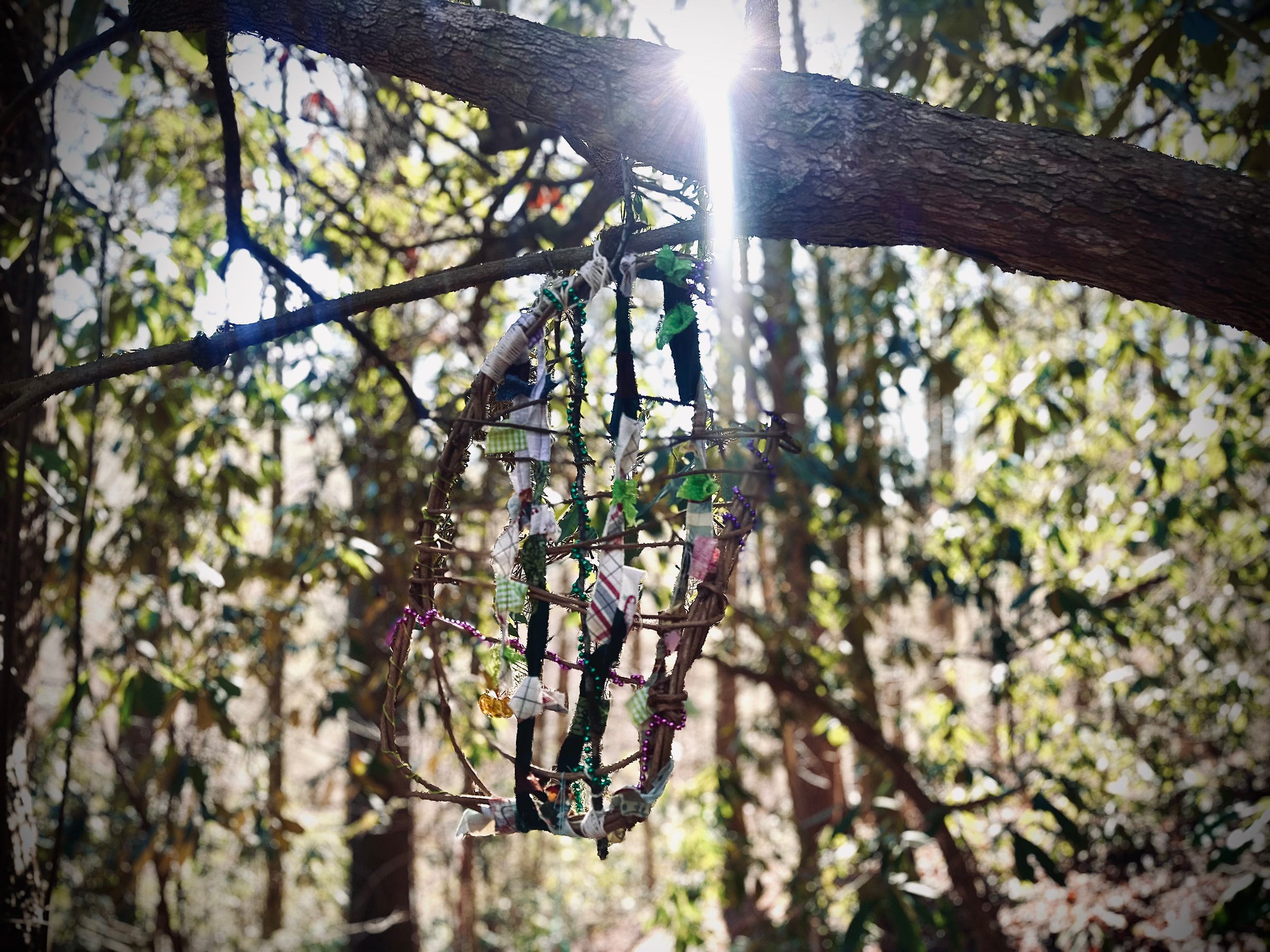 A weird kinda True Detective looking piece of "art" made with kudzu root and fabric garland hangs from a branch in the forest
