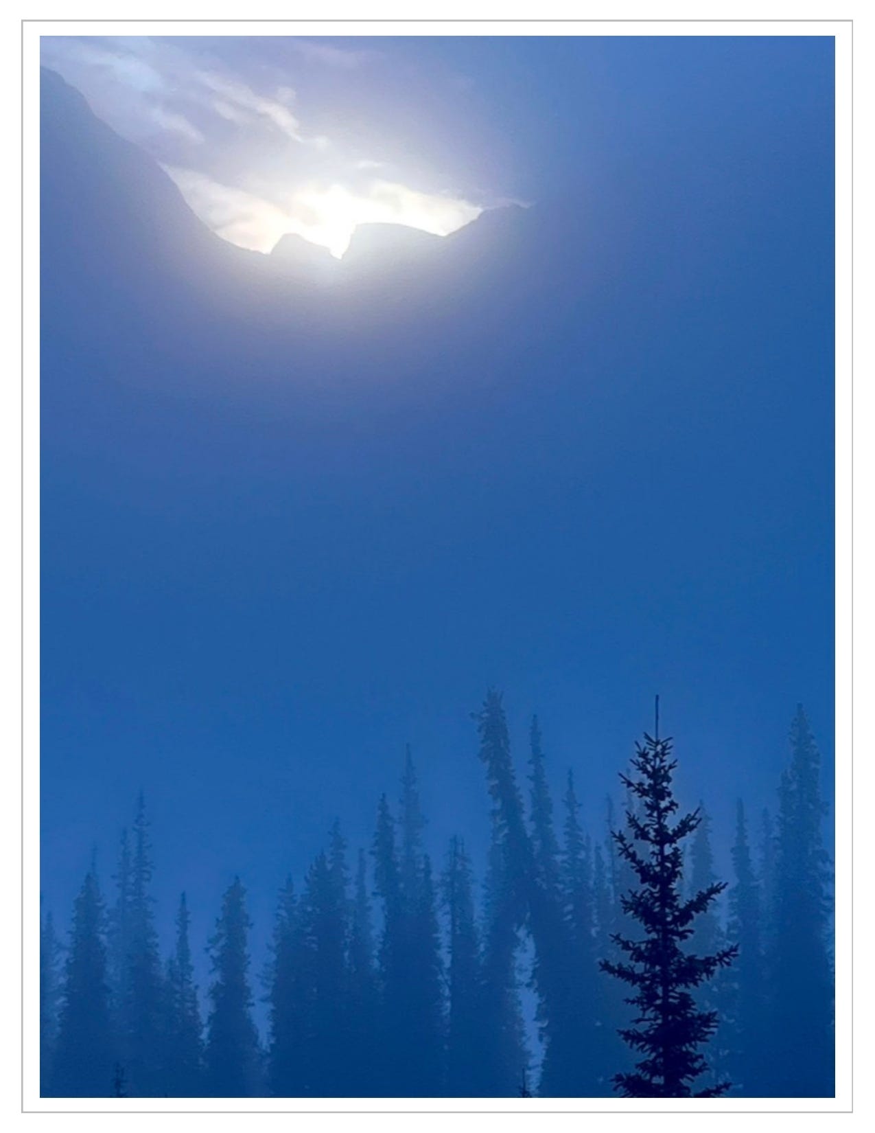 boreal forest, morning light breaking through blue-night sky