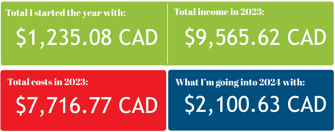 An overview graphic of my income, expenses and end of year balance. 