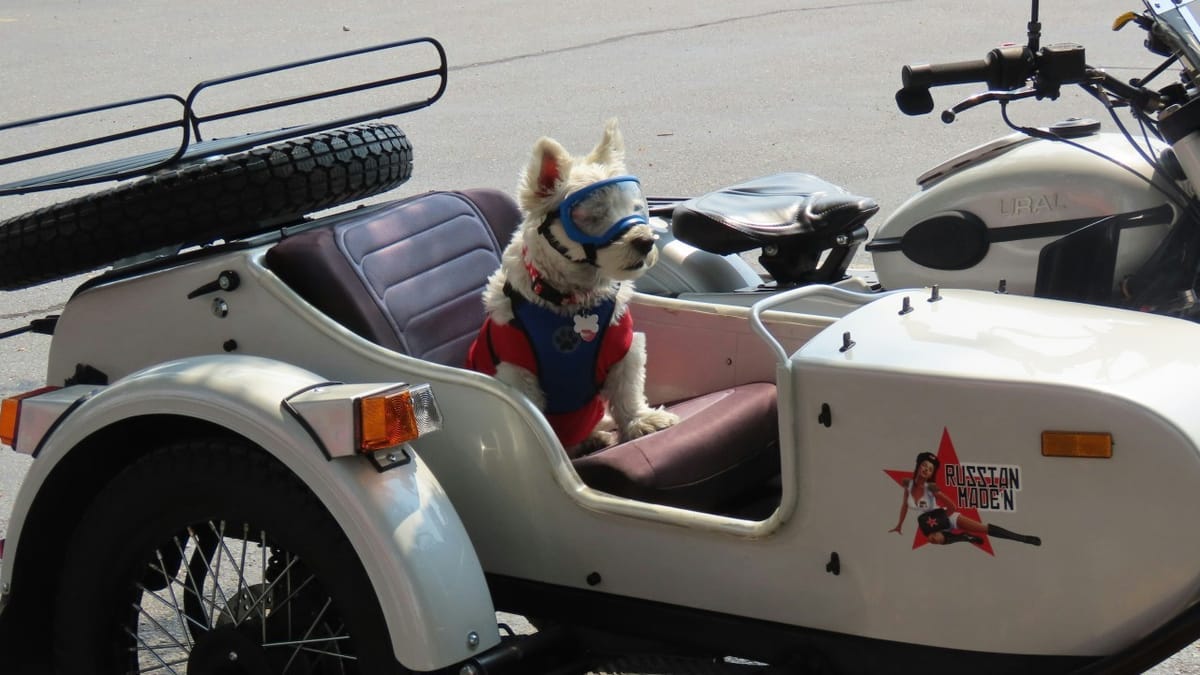 Hitchhiker's Guide to Microsoft Copilot