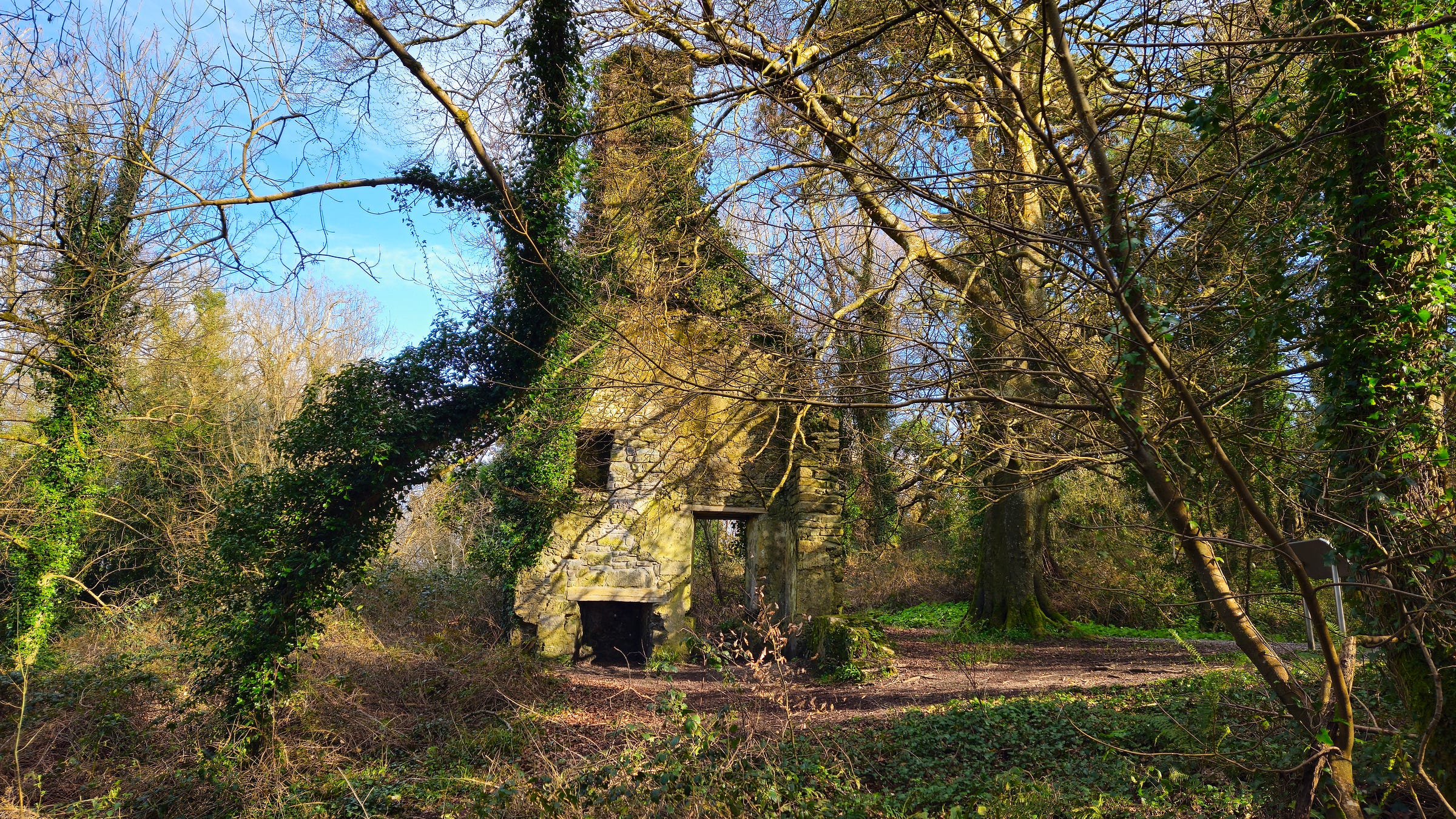 All that remains of the original Blenenrhasset residence in Ballyseedy Woods.
