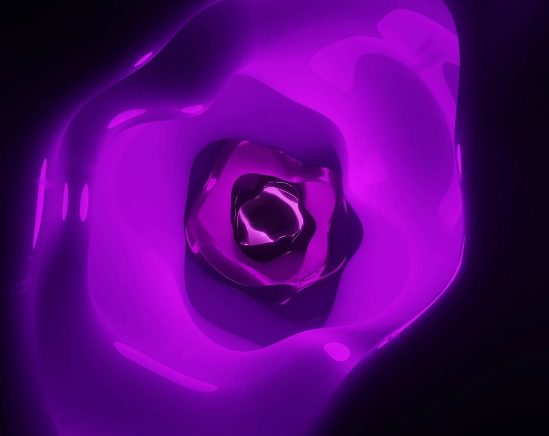 a close up of a purple flower on a black background