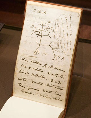 Charles Darwin pocket notebook.