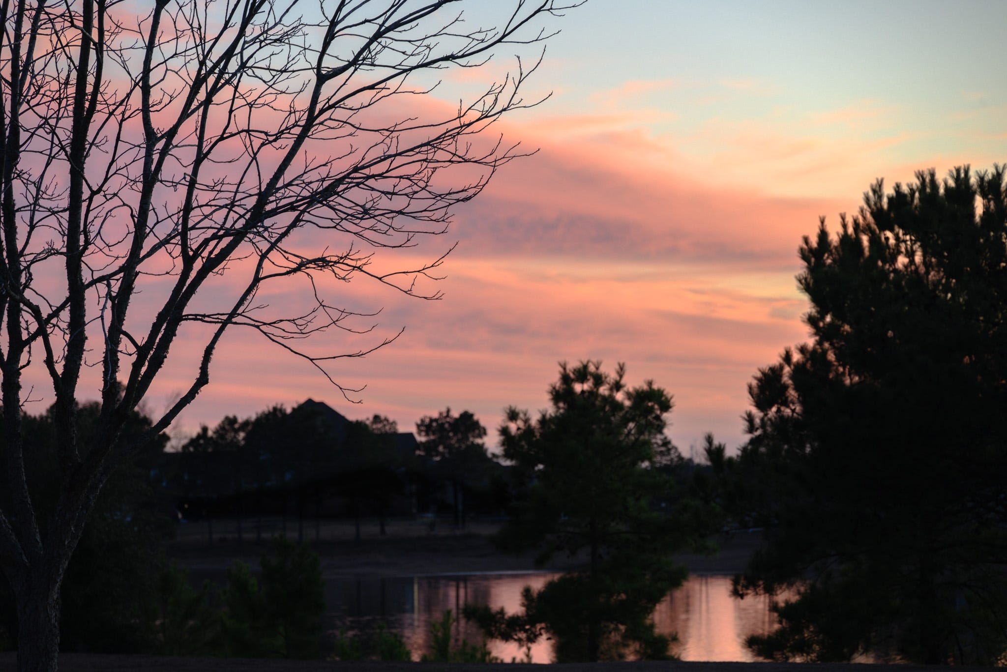 Sunset with streaks of pink, and coral clouds and blue sky with their reflection in the lake and bare branches of an oak tree on the reft treesin shadows to the right and across the lake