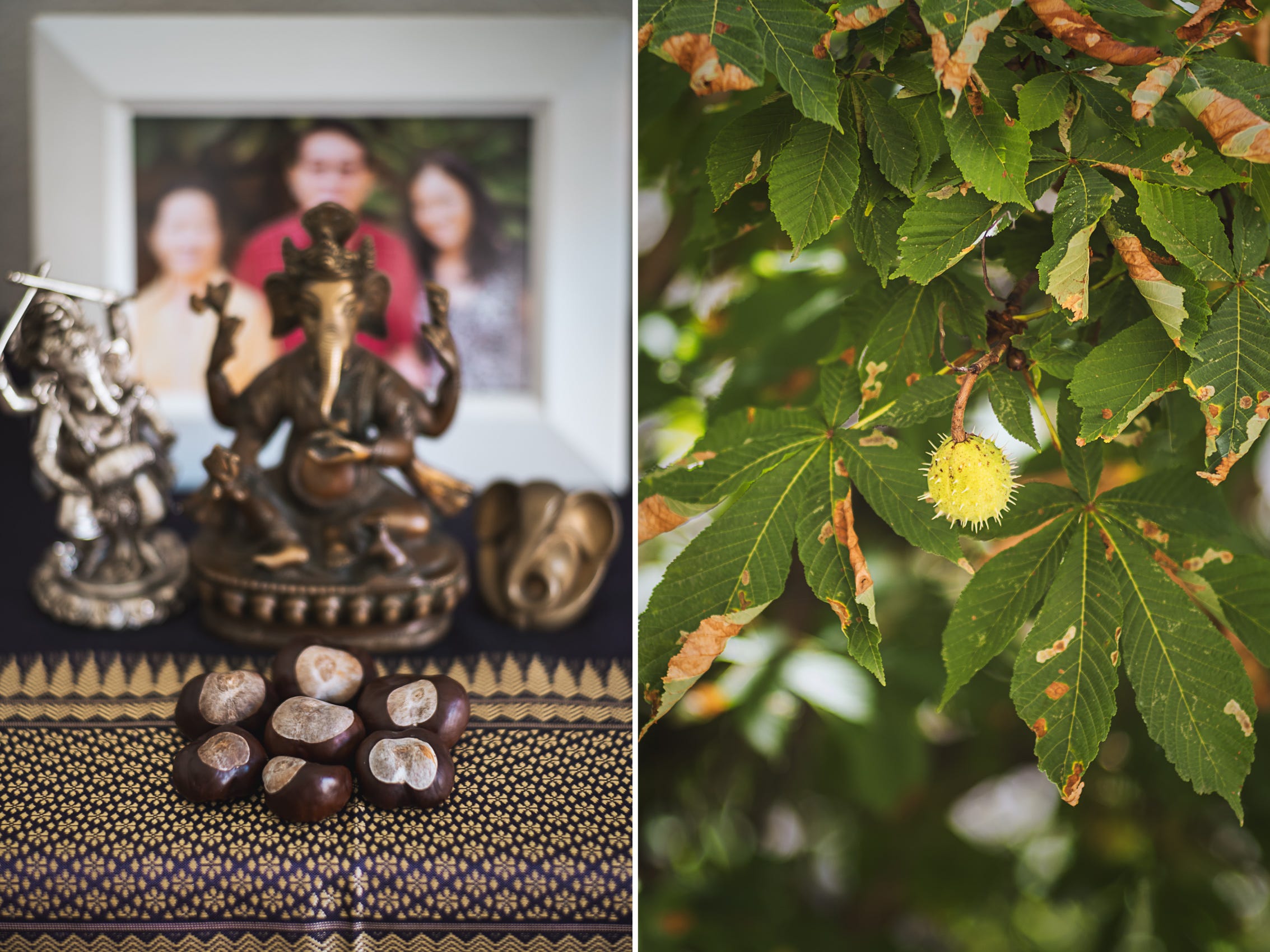 Conkers. 1/125, f/5.6, ISO400, 90mm & 1/320, f/4, ISO64, 90mm