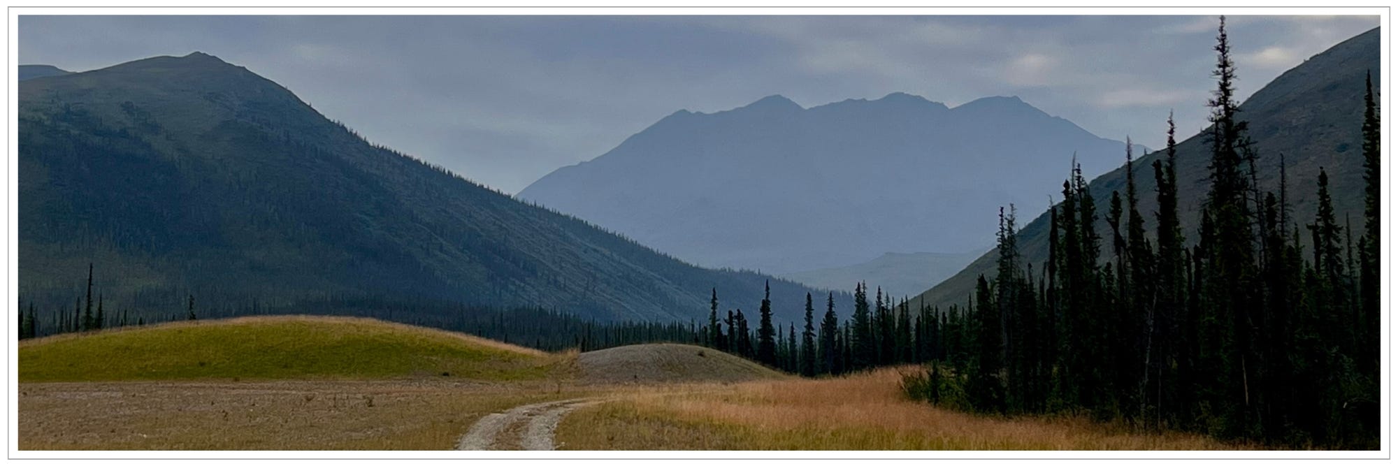 dirt road, tundra and boreal forest