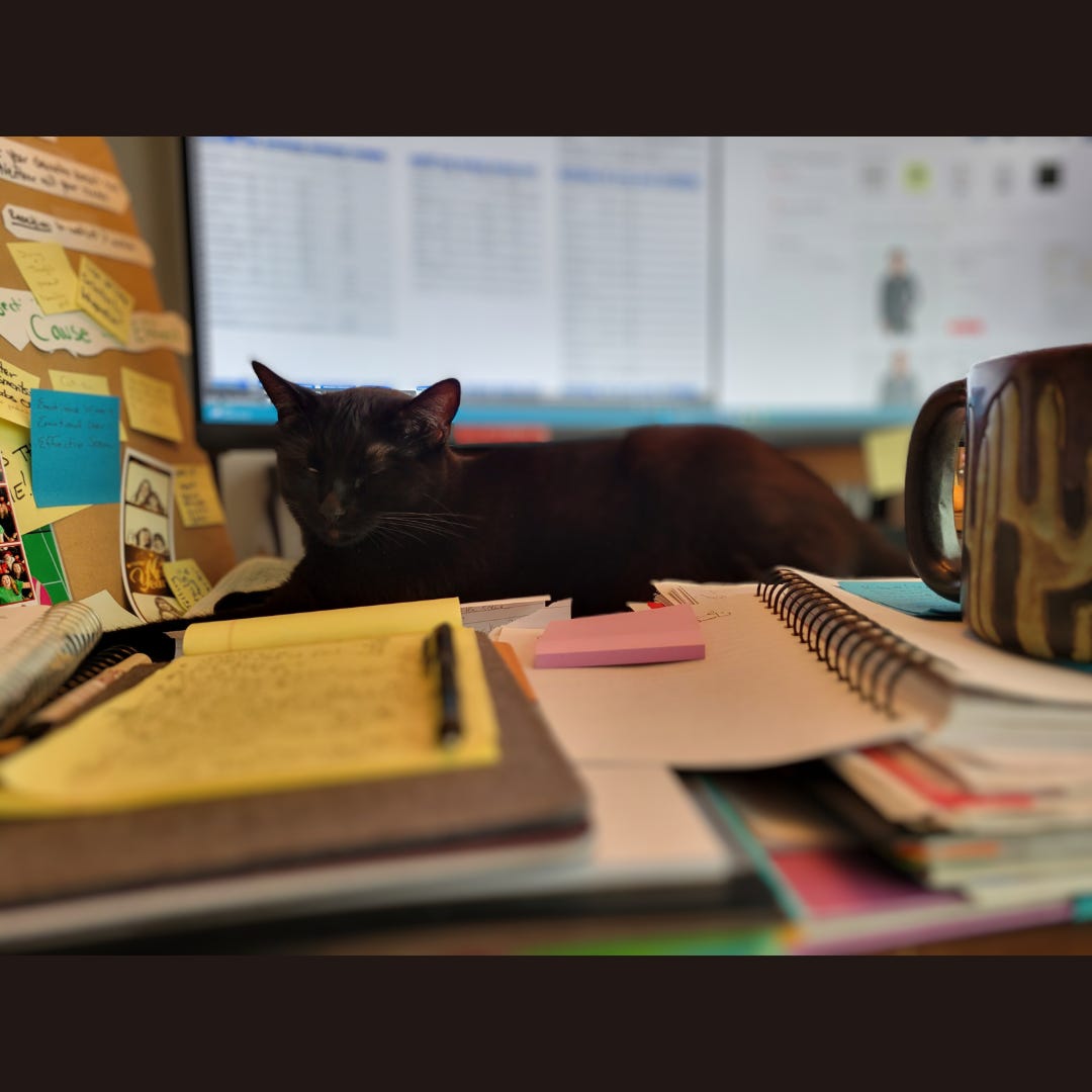 One of my black cats sitting on my desk, sleeping in front of my monitor. The background is blurred out but you can see it's an incredibly messy desk with sticky notes everywhere, a coffee cup on top of a notebook and at least two windows open on the screen, which implies the existence of several tabs open as well.