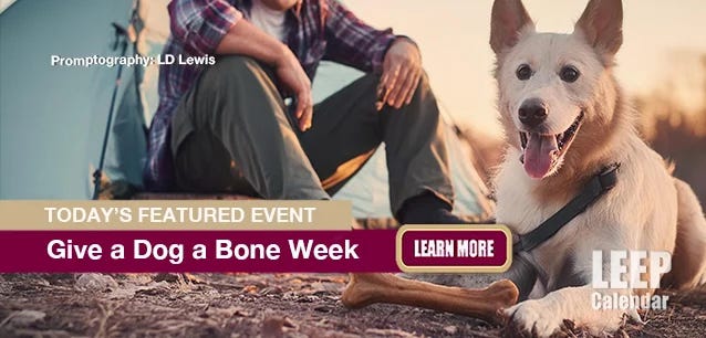 Give a Dog a Bone Week helps the unhoused care for their pets—Promptography LD Lewis.