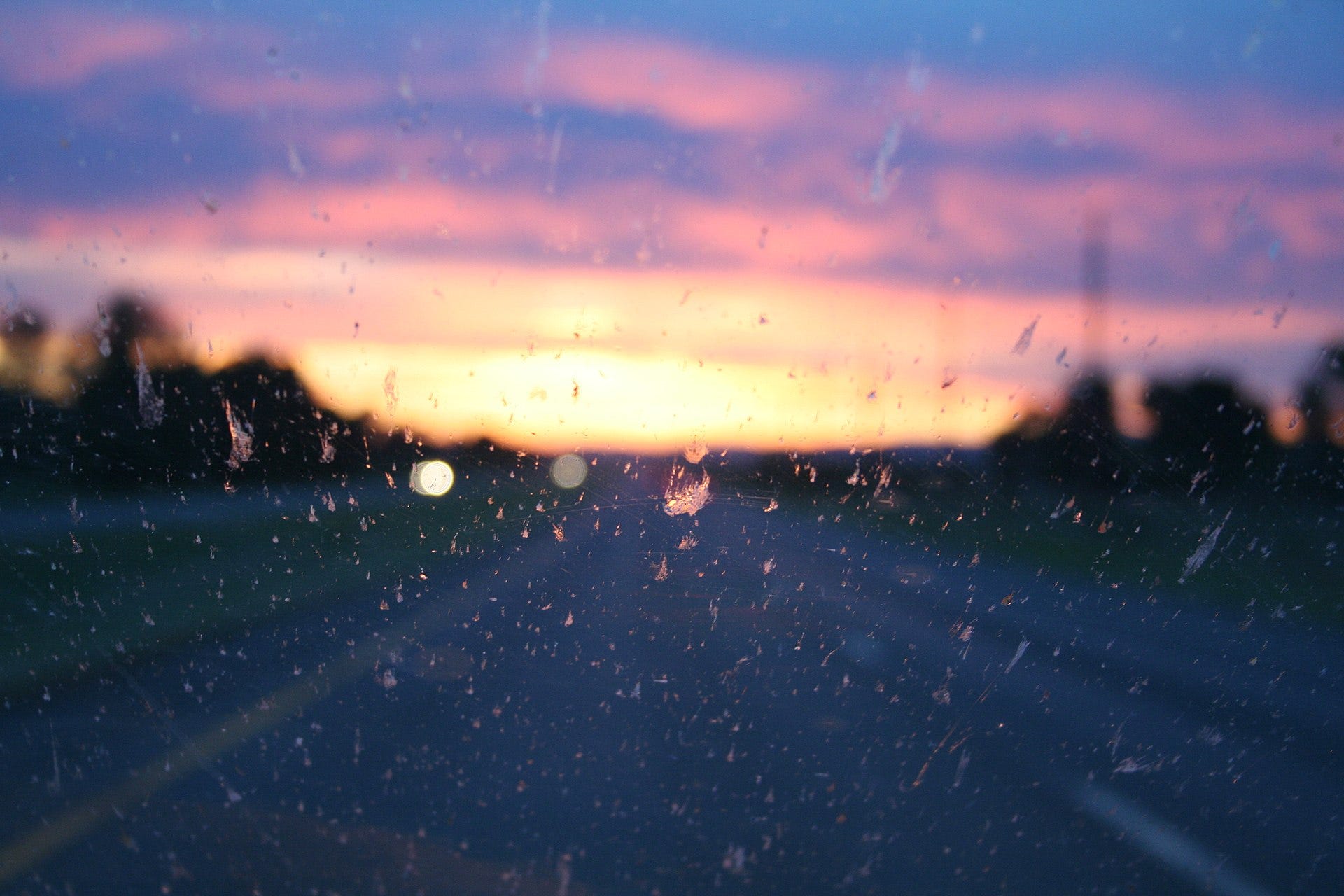 Bugs on a windshield at sunset