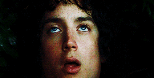 A GIF of Frodo Baggins' face surrendering to the Ring