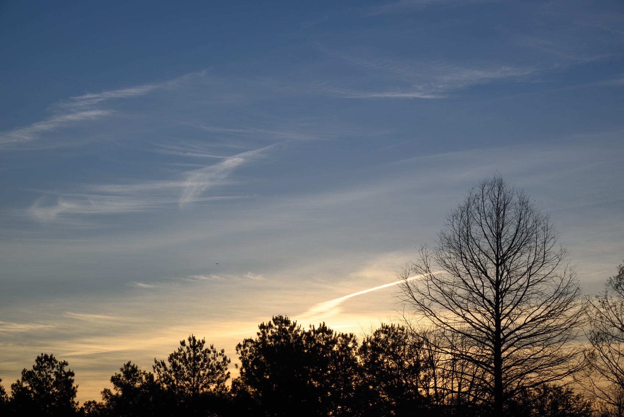 the sun rising over a line of trees with blue sky and wisoy clouds above