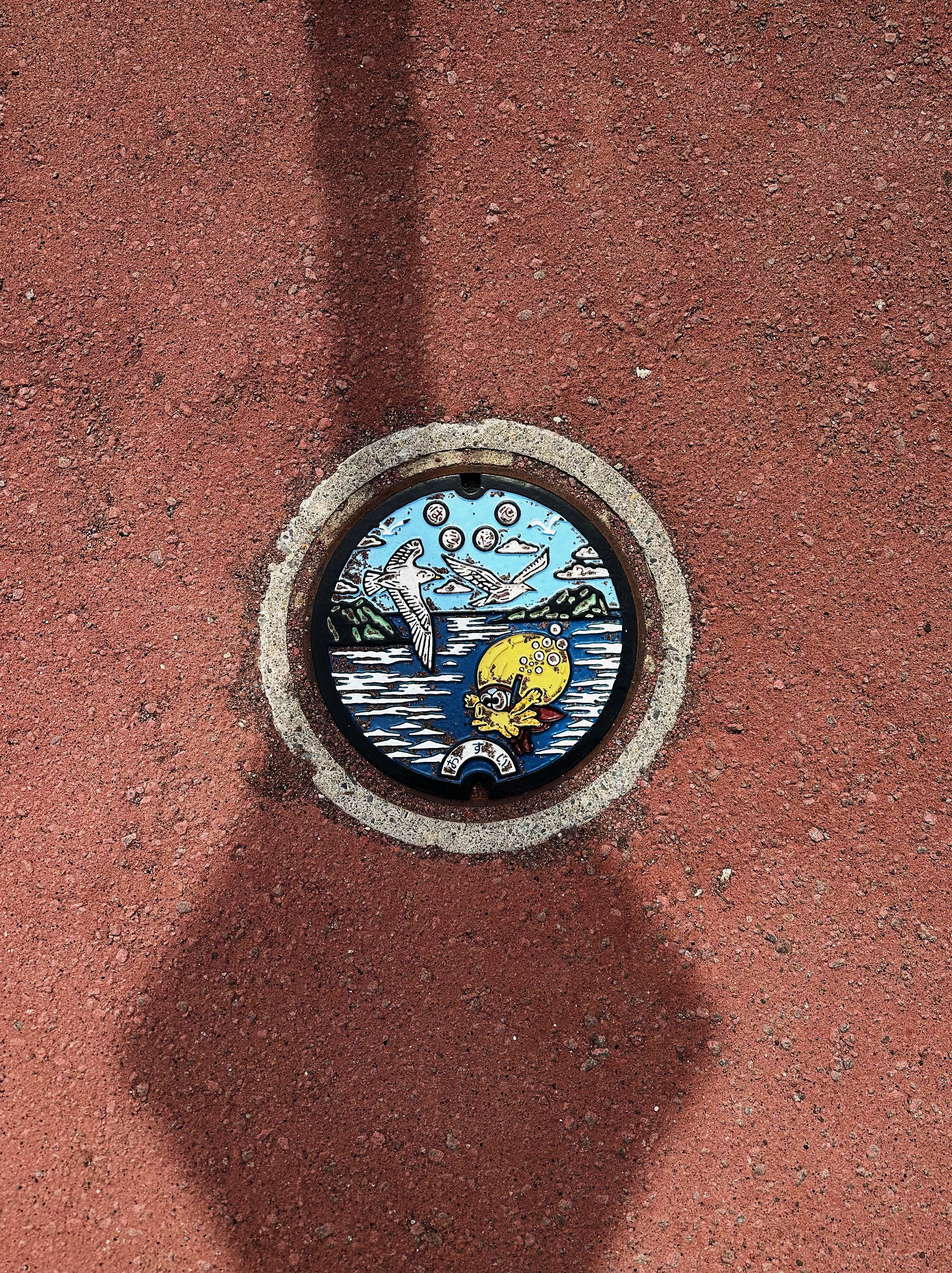 Manhole in Hakodate