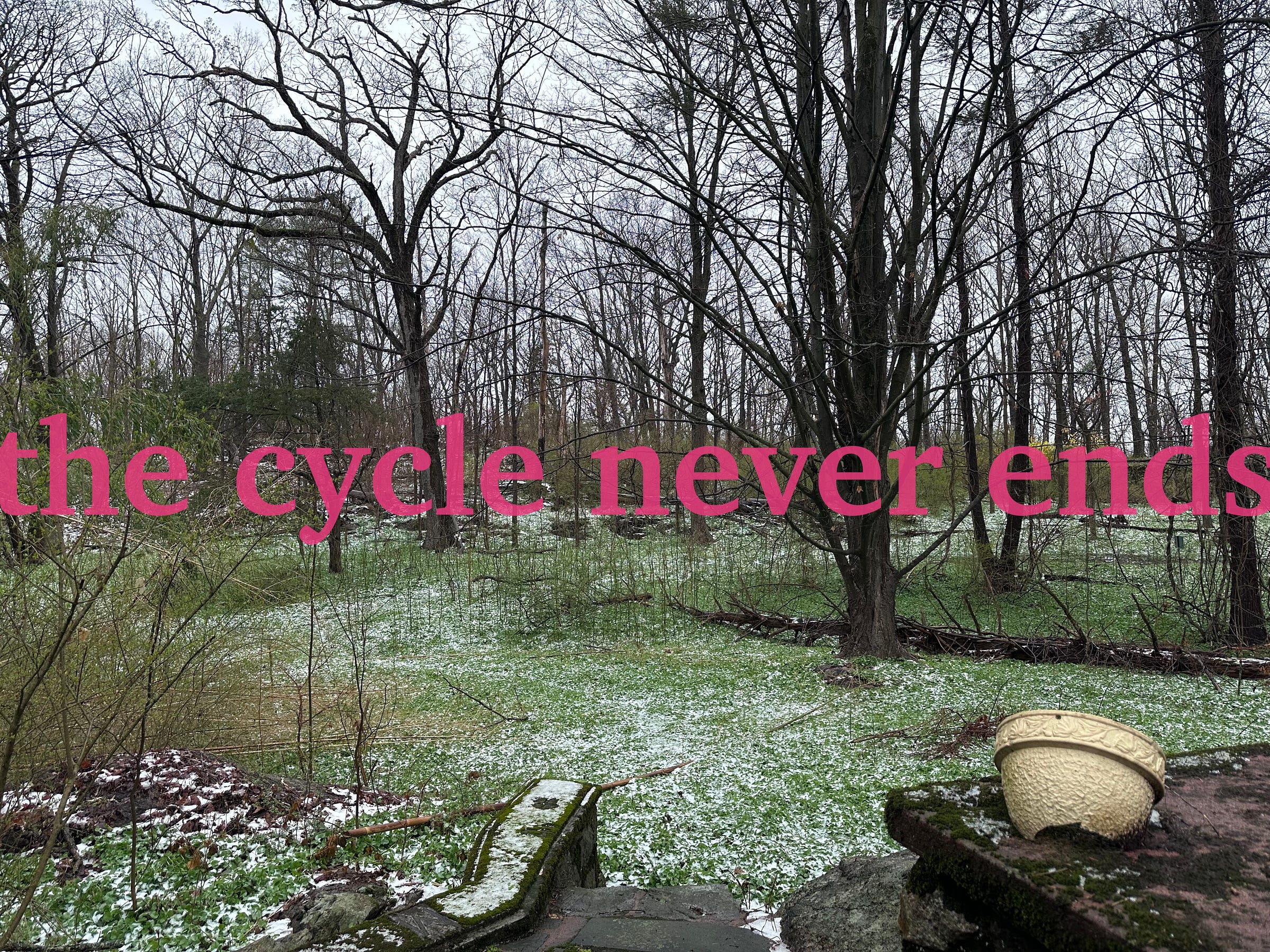 a bare-branch-tree wintry forest, a walkway in the foreground past a broken pot leading down to a thin layer of snow that cannot conceal bright green vegetation. across, in large pink serif letters, "the cycle never ends"