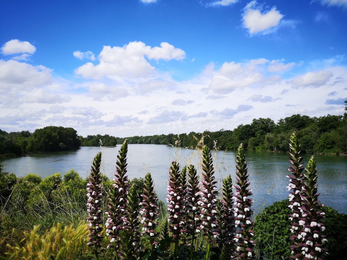 Garonne River