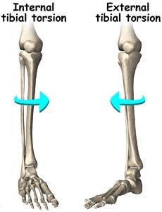 Patient Education | Concord Orthopaedics