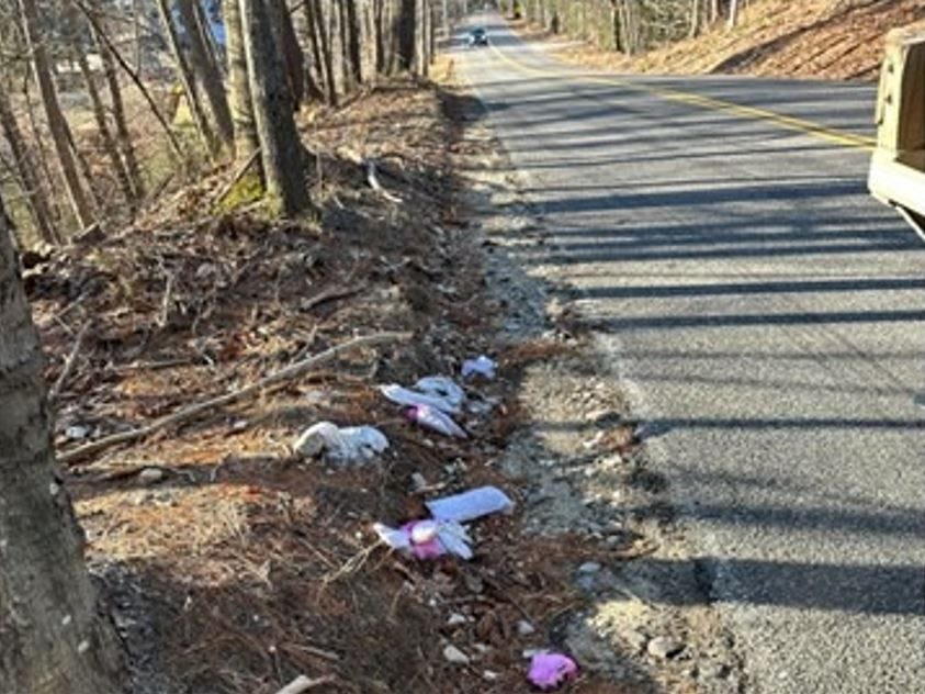Dirty adult diapers along road photo 3