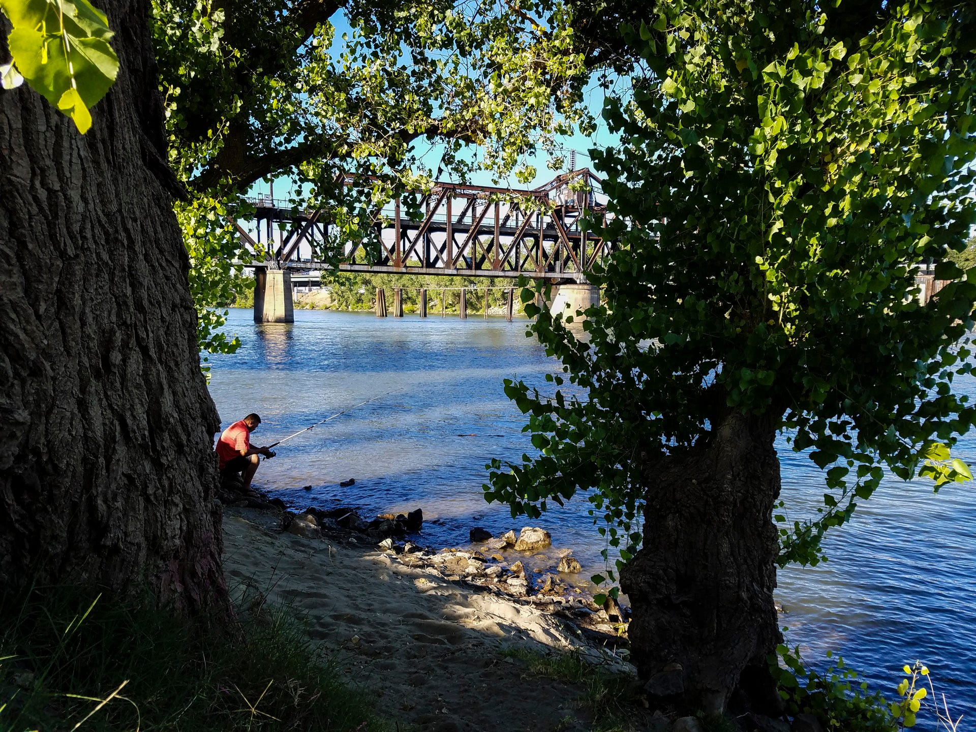 A man sits on a log (or something) and fishes on the sandy riverbanks of the Sacramento River. Large trees grow right up to the riverbank and provide shade. In the background, an old trestle style railbridge crosses the river.