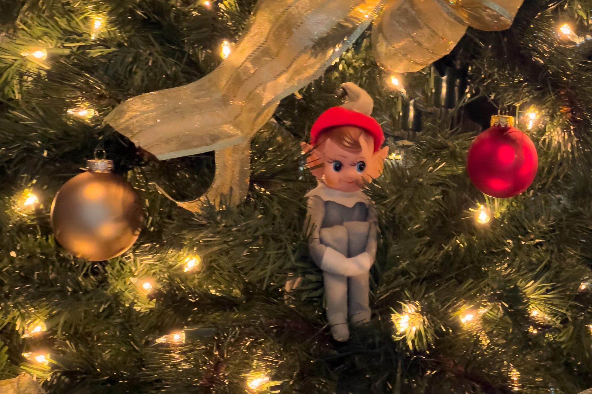 A faded green elf with a red hat sits perched on the limbs of a Christmas tree with sparkling white lights, a gold ball ornament on the left and a smaller red on on the right