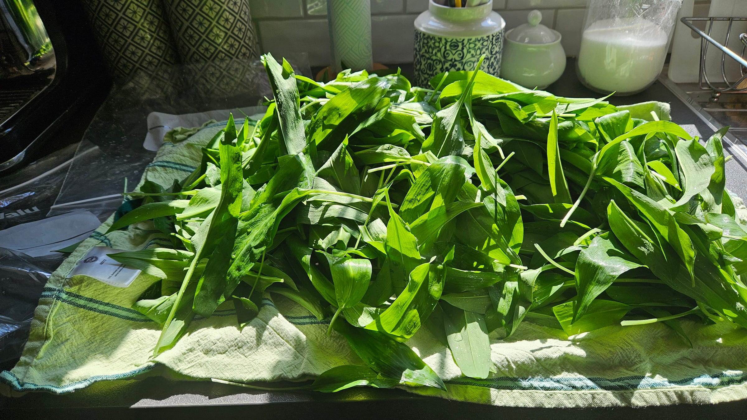 A mound of fresh wild garlic washed, dried, and ready for cooking