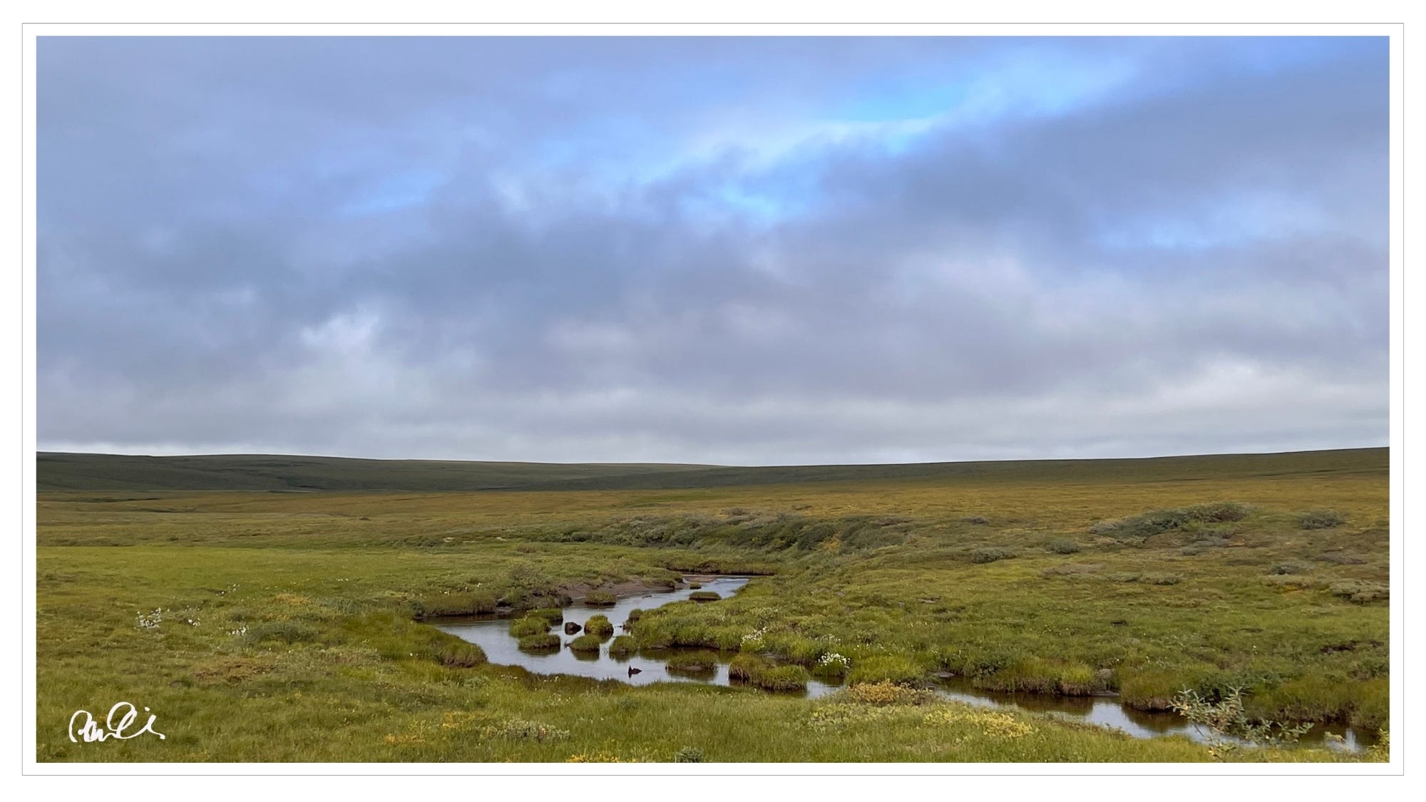 Stream bed, tundra, violet horizon