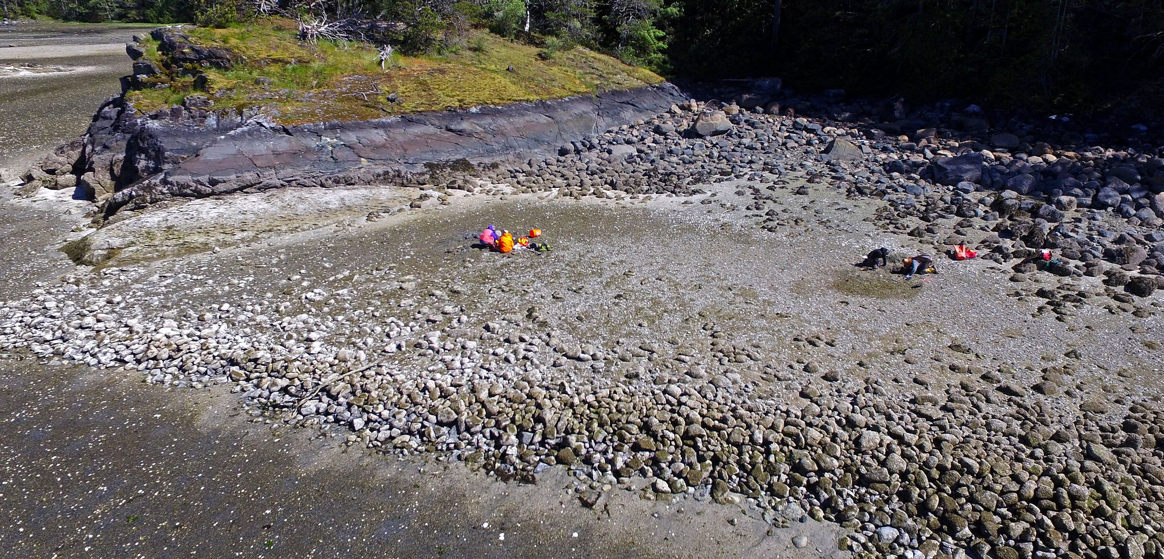 aerial photo of clam garden on Quadra Island, BC