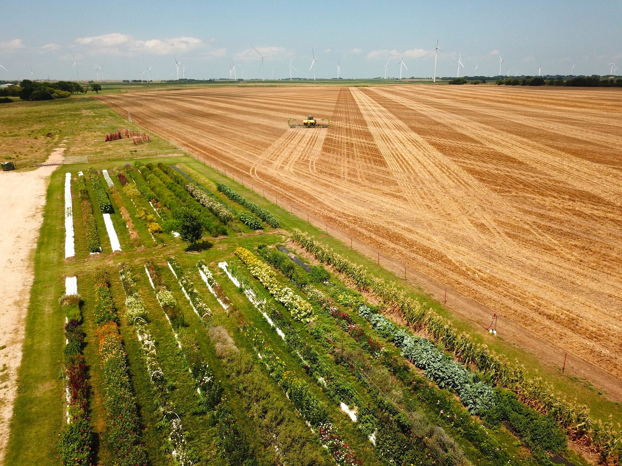 a tractor tills a large field behind rows of flowers