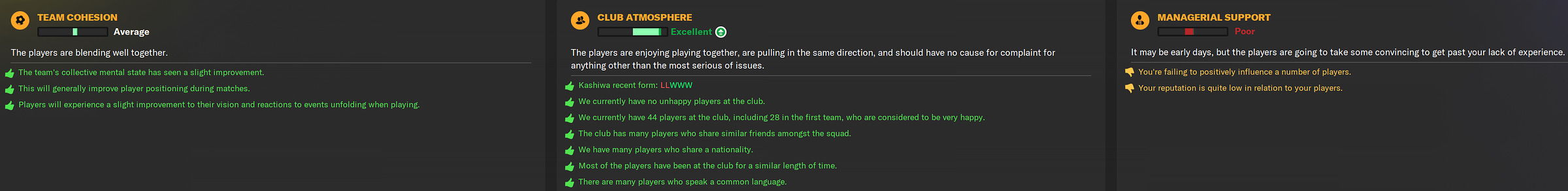 Football Manager 2024 Cohesion