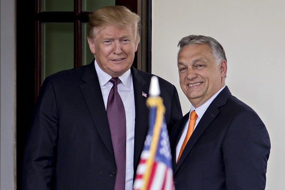 Donald Trump and Viktor Orban stand for photographers at the West Wing of the White House in 2019. 