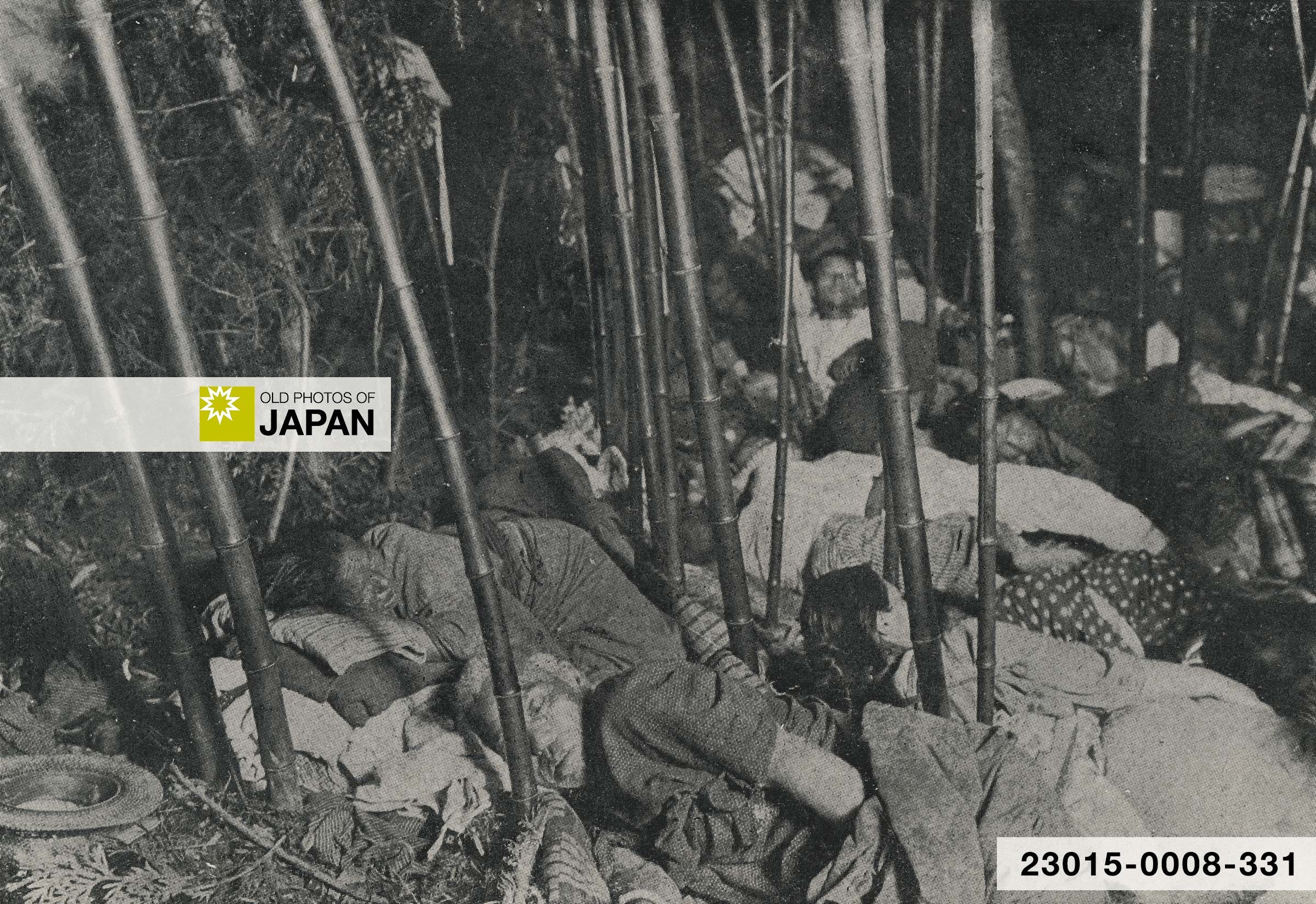 Displaced people sleeping in a bamboo forest near Oyama, Shizuoka Prefecture, 1923