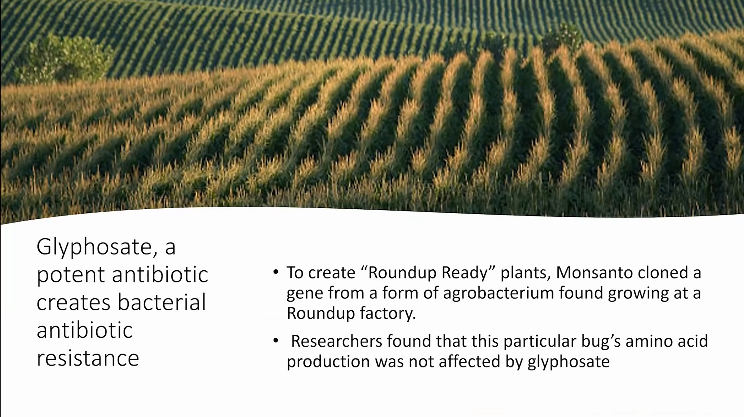 Glyphosate