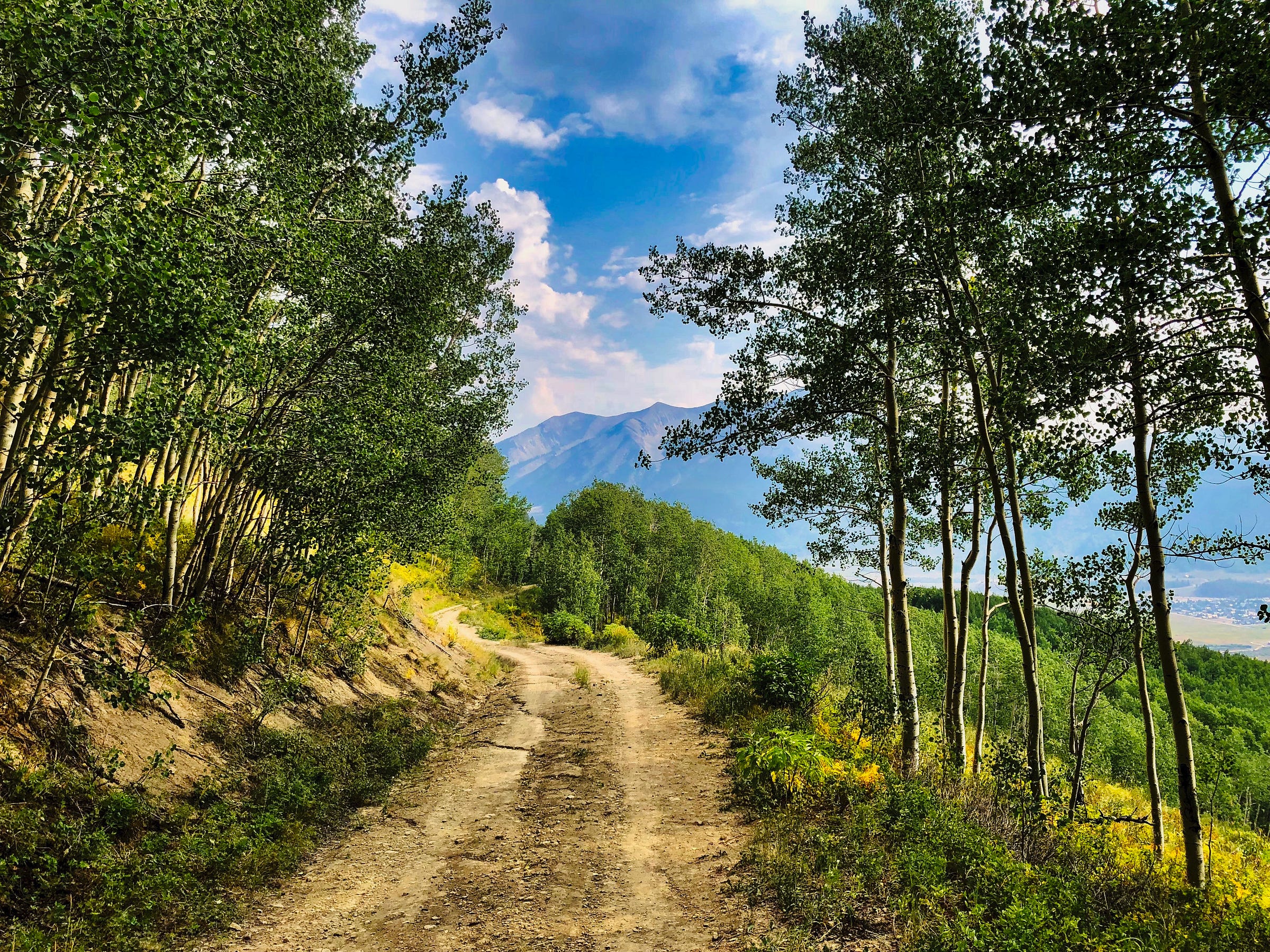 A mountain path with trees on either side and blue sky with white clouds and mountains in the distance