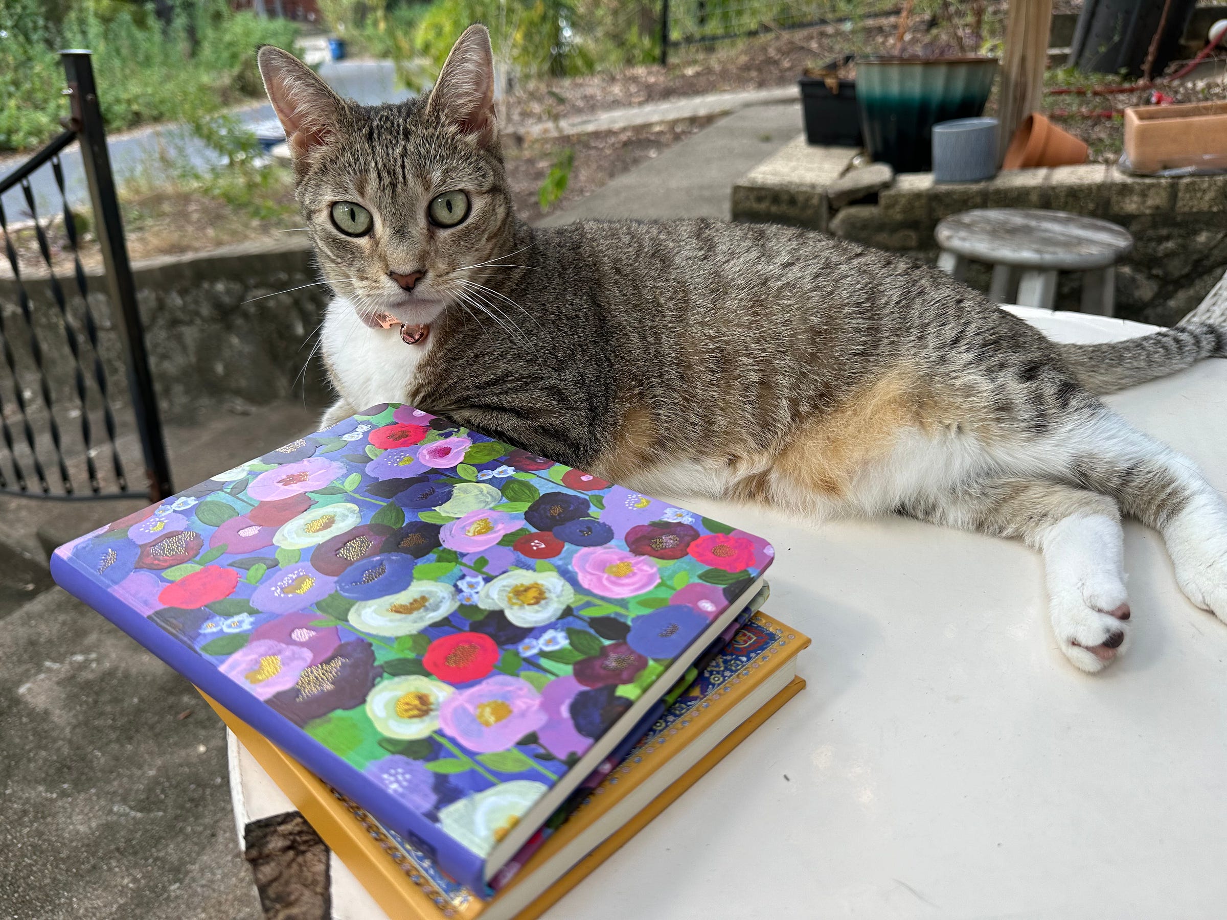 A tabby cat with white feet sits on an outdoor patio table next to a stack of noteoboks. She looks at the viewer with green eyes.