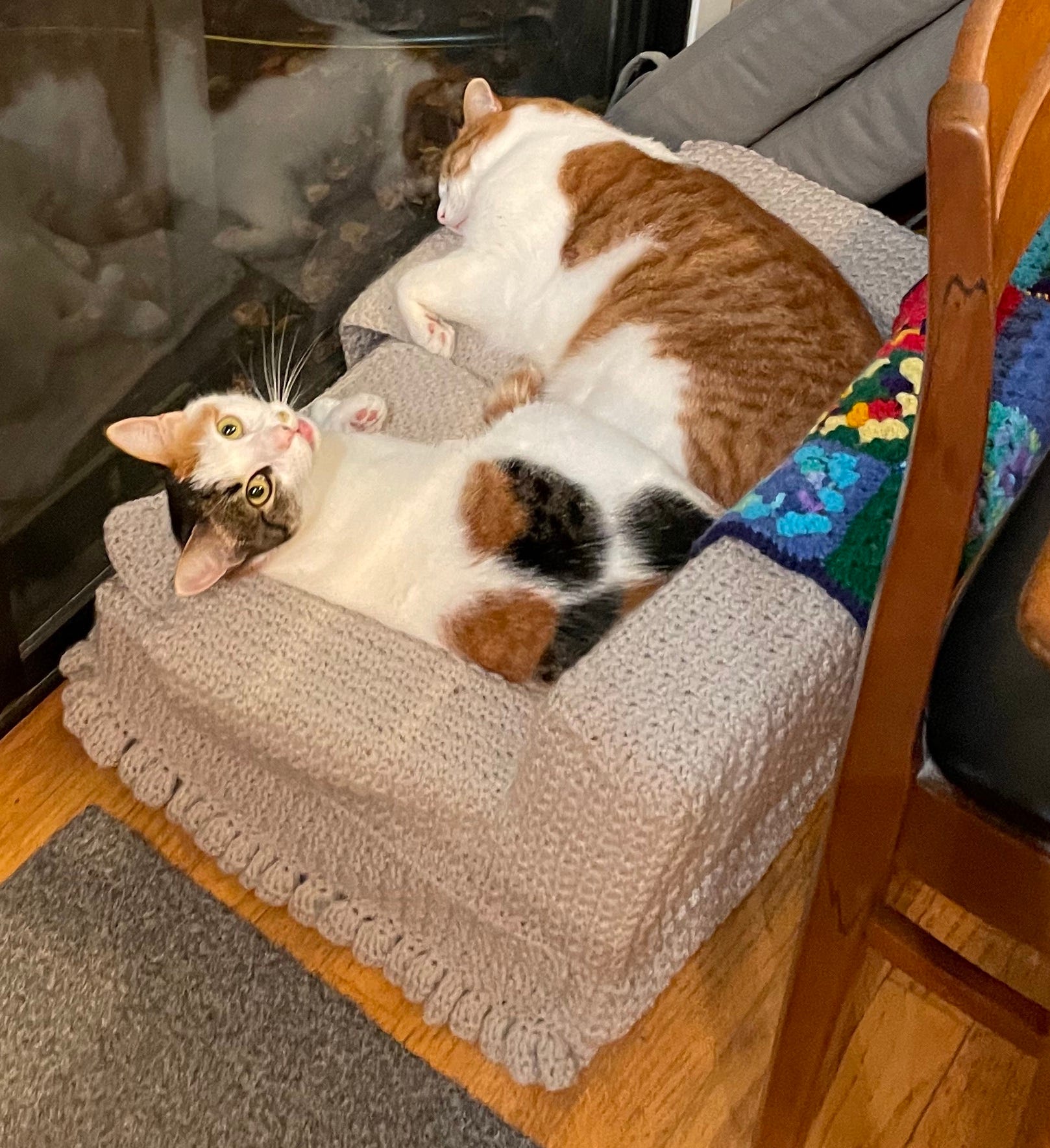 two cats, one calico and one orange, on a crocheted cat-sized couch
