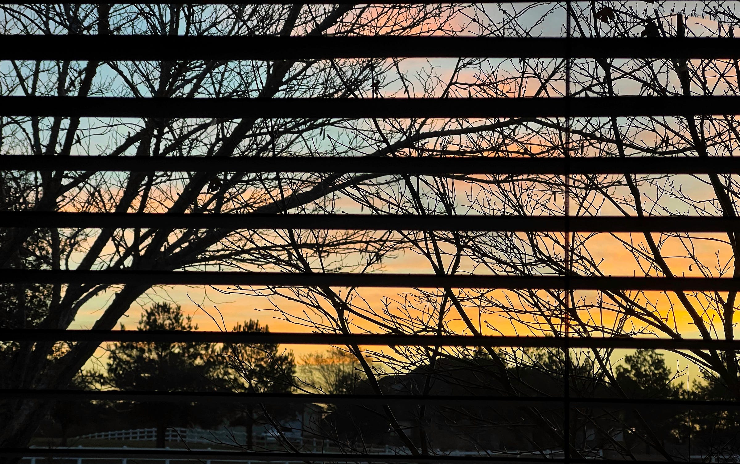 A view of the morning sunrise through a window with open wooden blinds; pink and coral clouds against a blue sky looking through tree branches; trees and a white fence in the bottom foreground