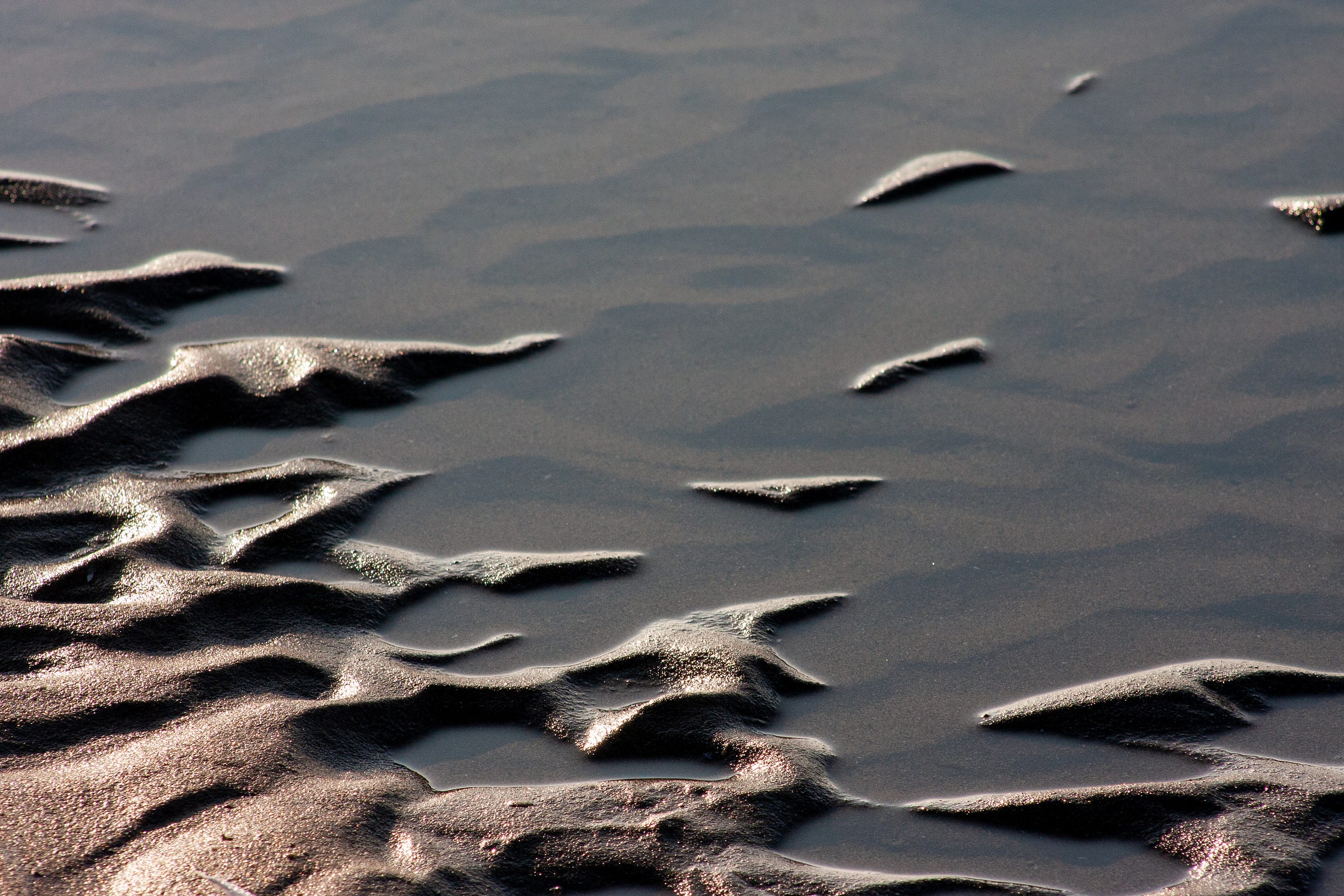 Close up of wet sand and water at the beach, Long Point Provincial Park