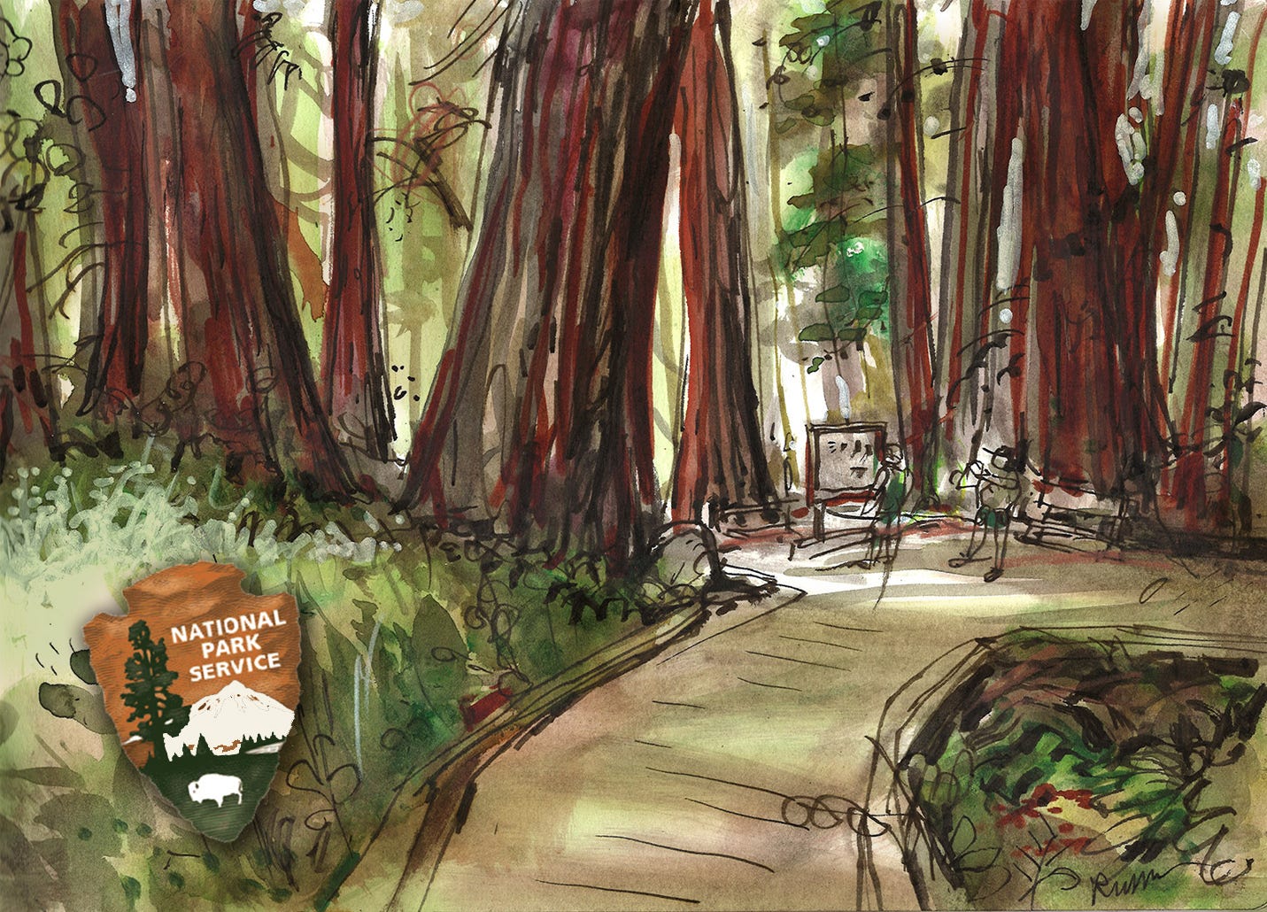 Main Trail, Muir Woods National Monument by Bill Russell