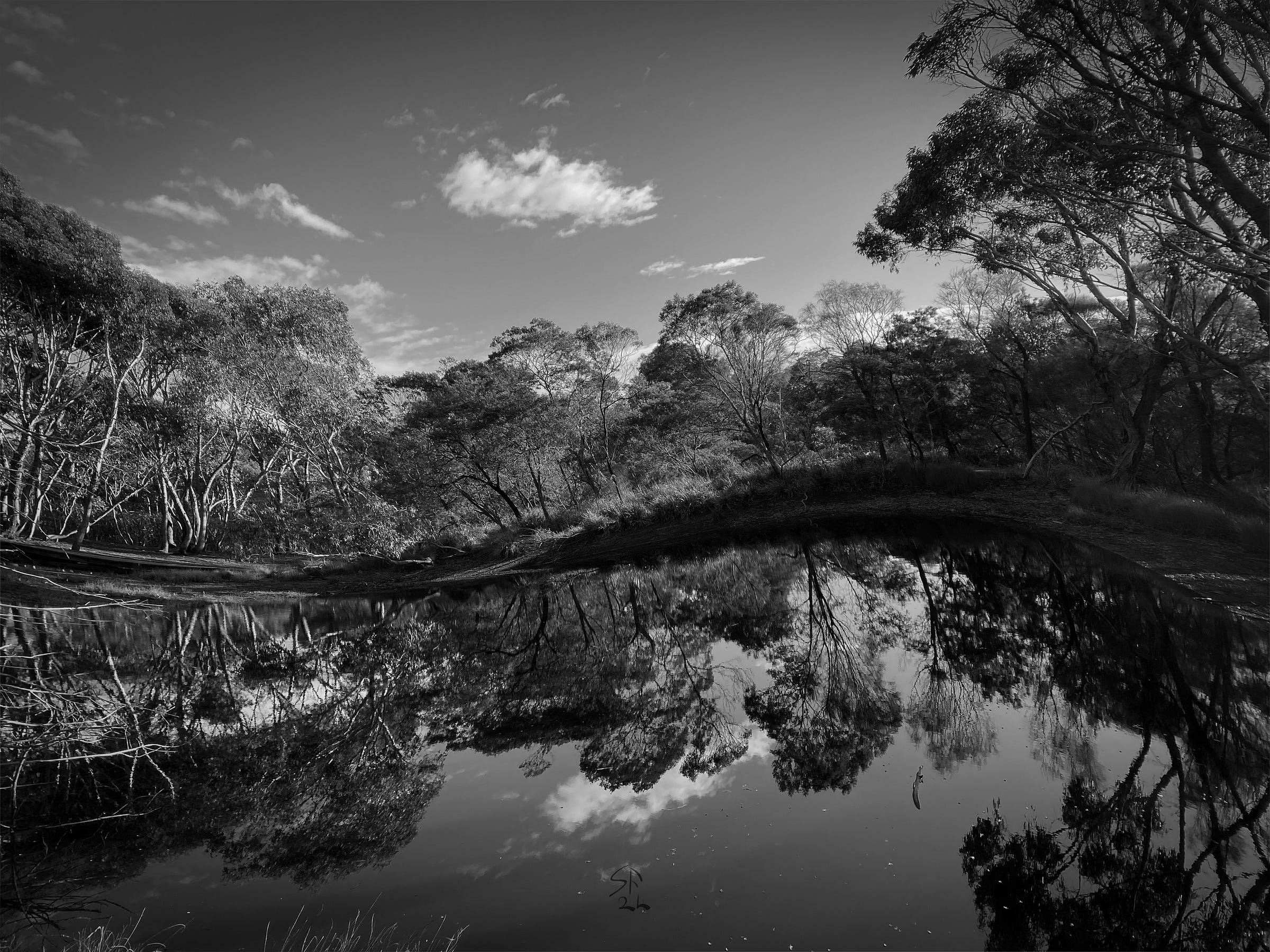 Black-and-white photo of a waterhole in the Australian bush, fantastically warped