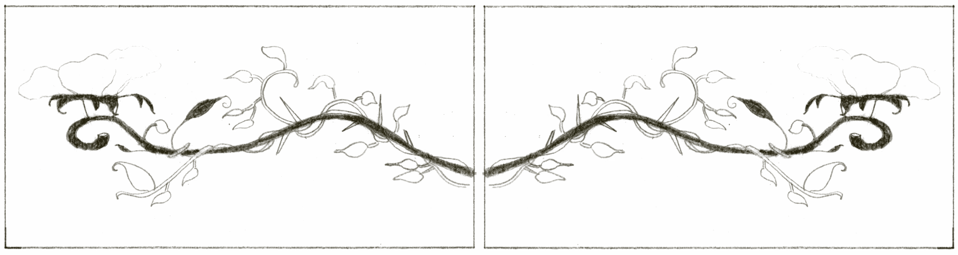 A delicate, mirrored ink drawing of a flowered vine with curved stems and prominent thorns stretching across two frames.