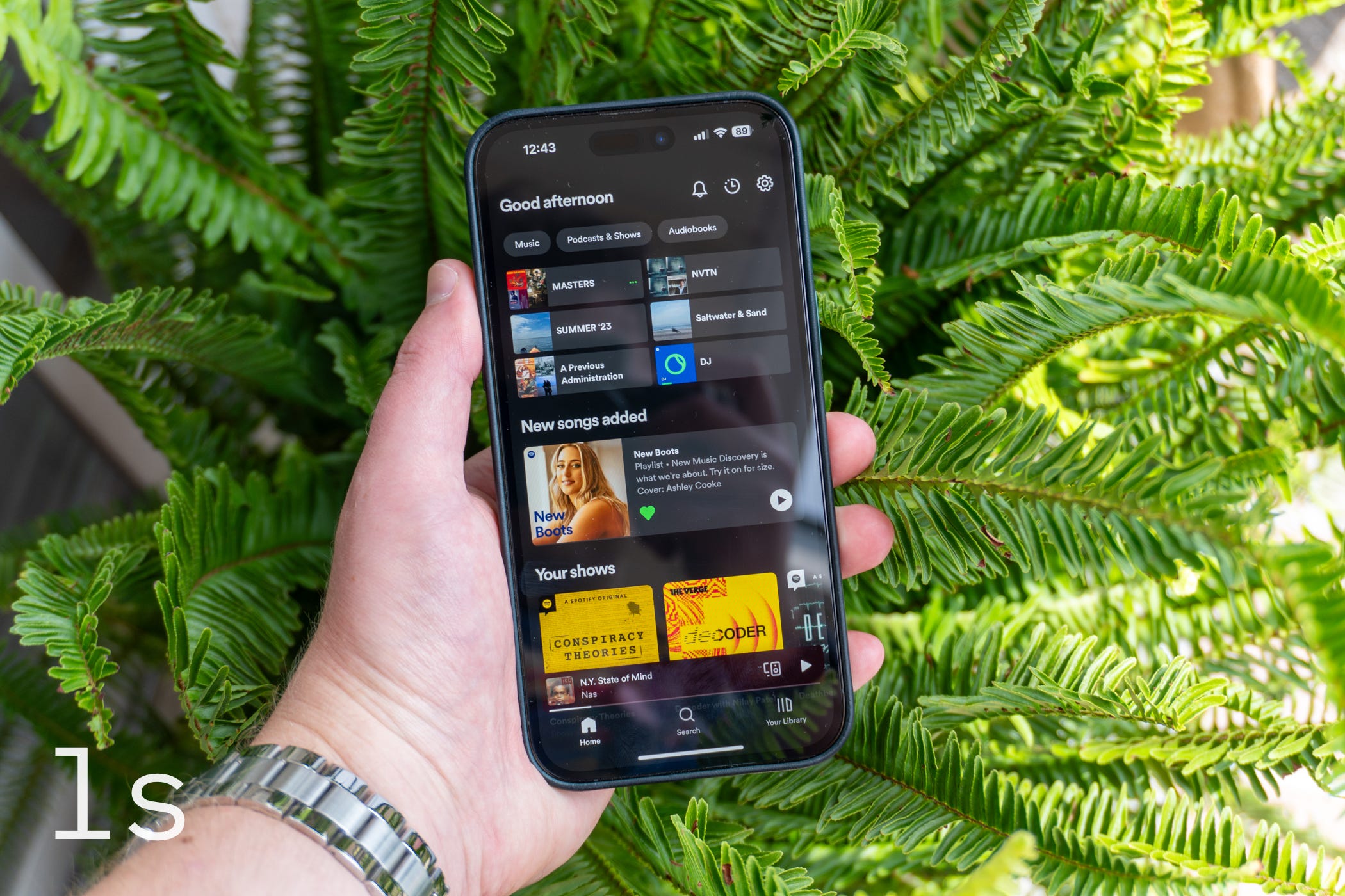 The Spotify app running on an iPhone 14 Pro Max against a green plant.