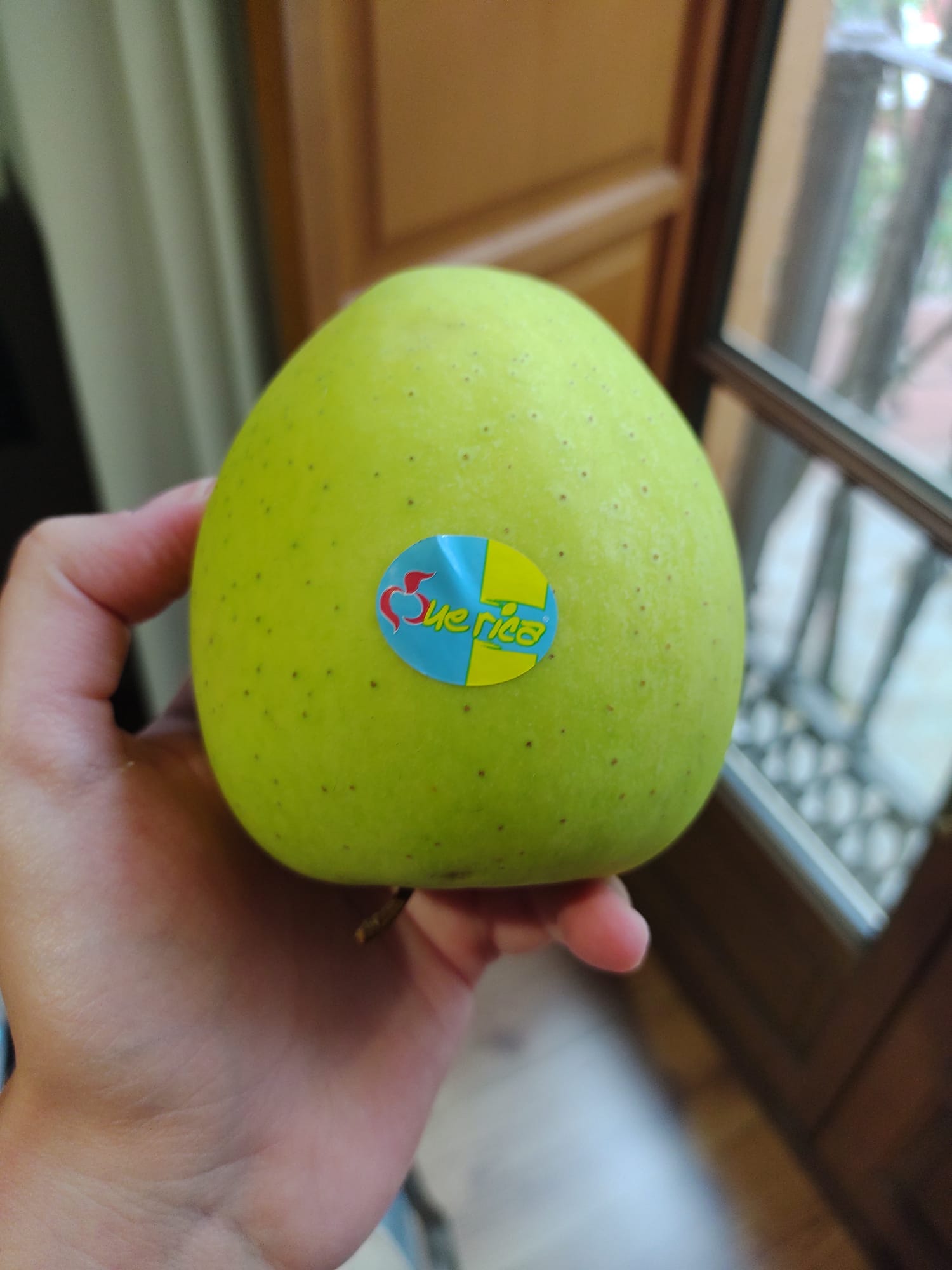 foto de uma maçã verde com um adesivo da marca que rica. A maçã está de ponta cabeça, o adesivo é azul com amarelo. o fundo está desfocado. Uma mão segura a maçã.