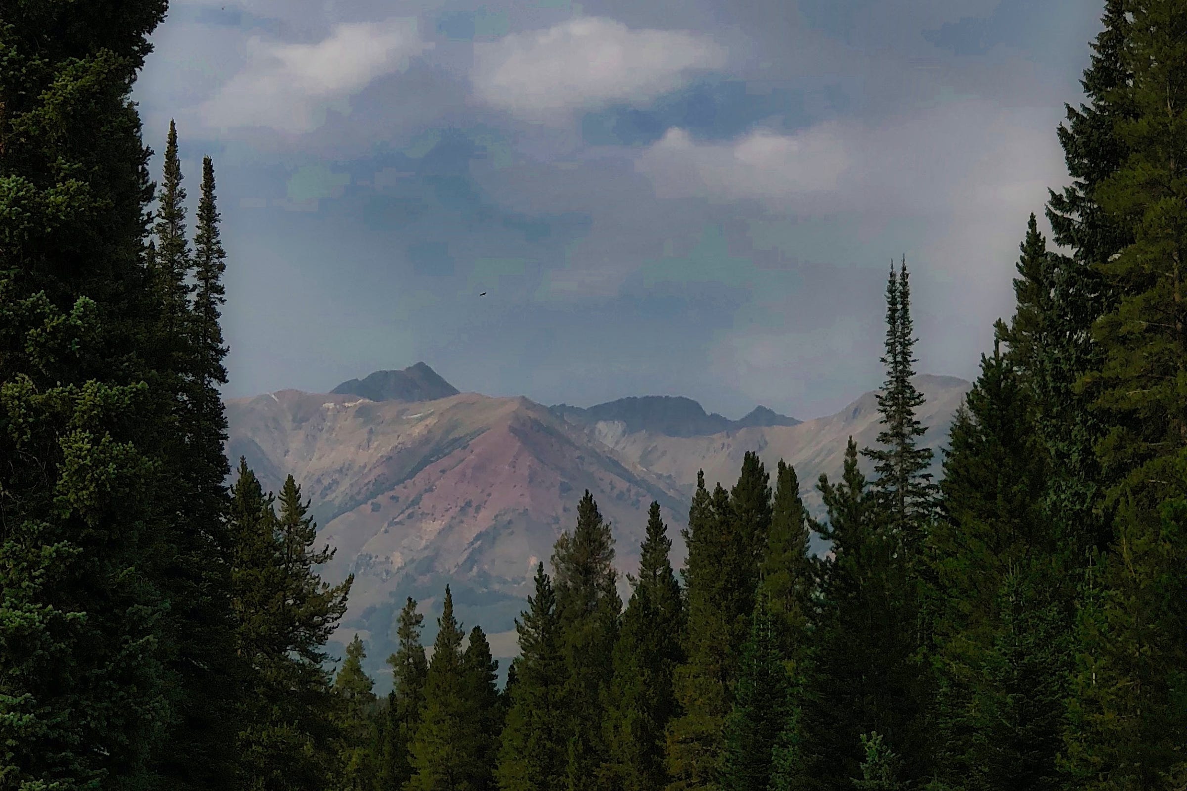 The mountain peaks are flanked by tall trees with a hazy blue sky