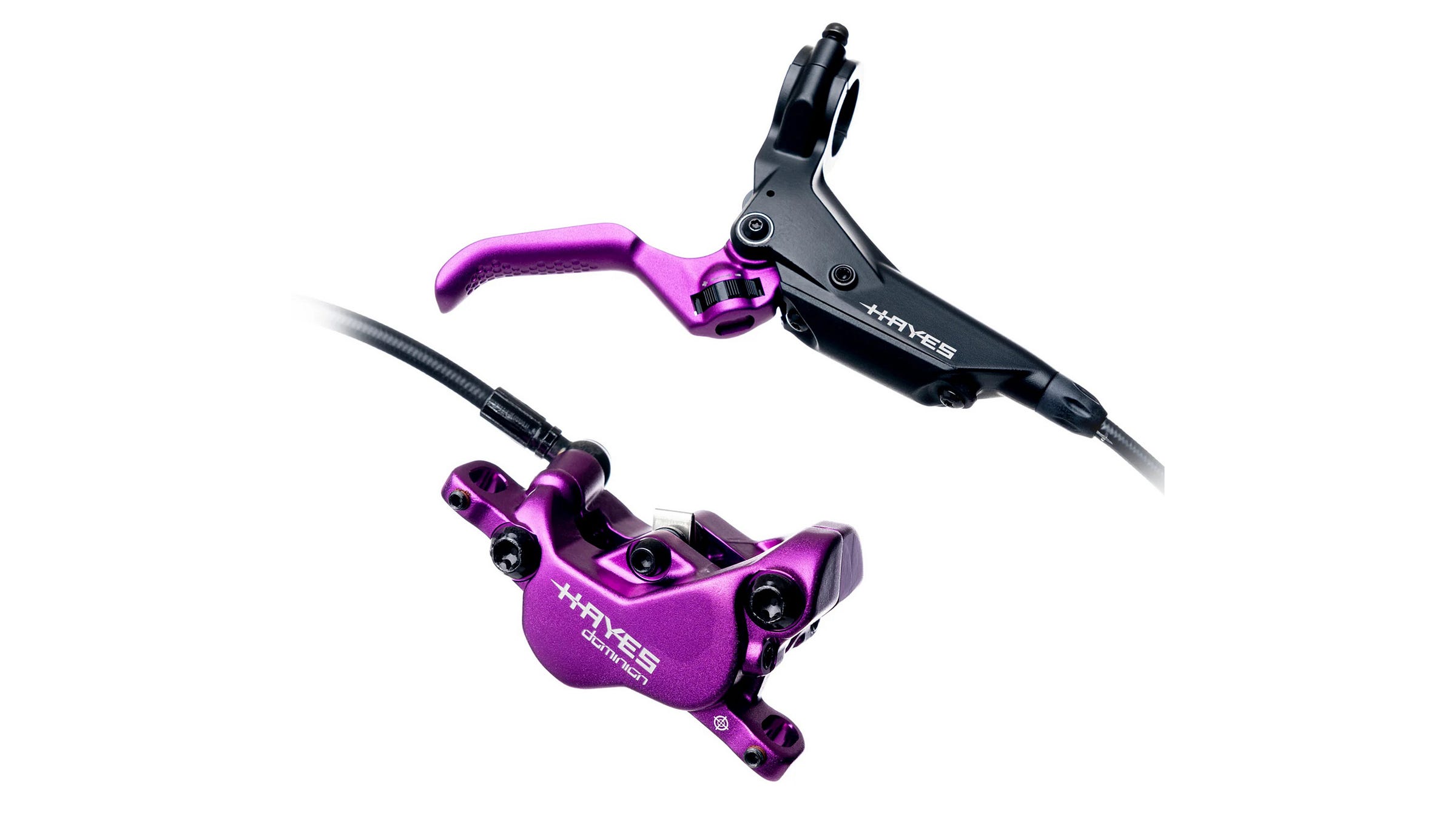 Hayes purple brakes