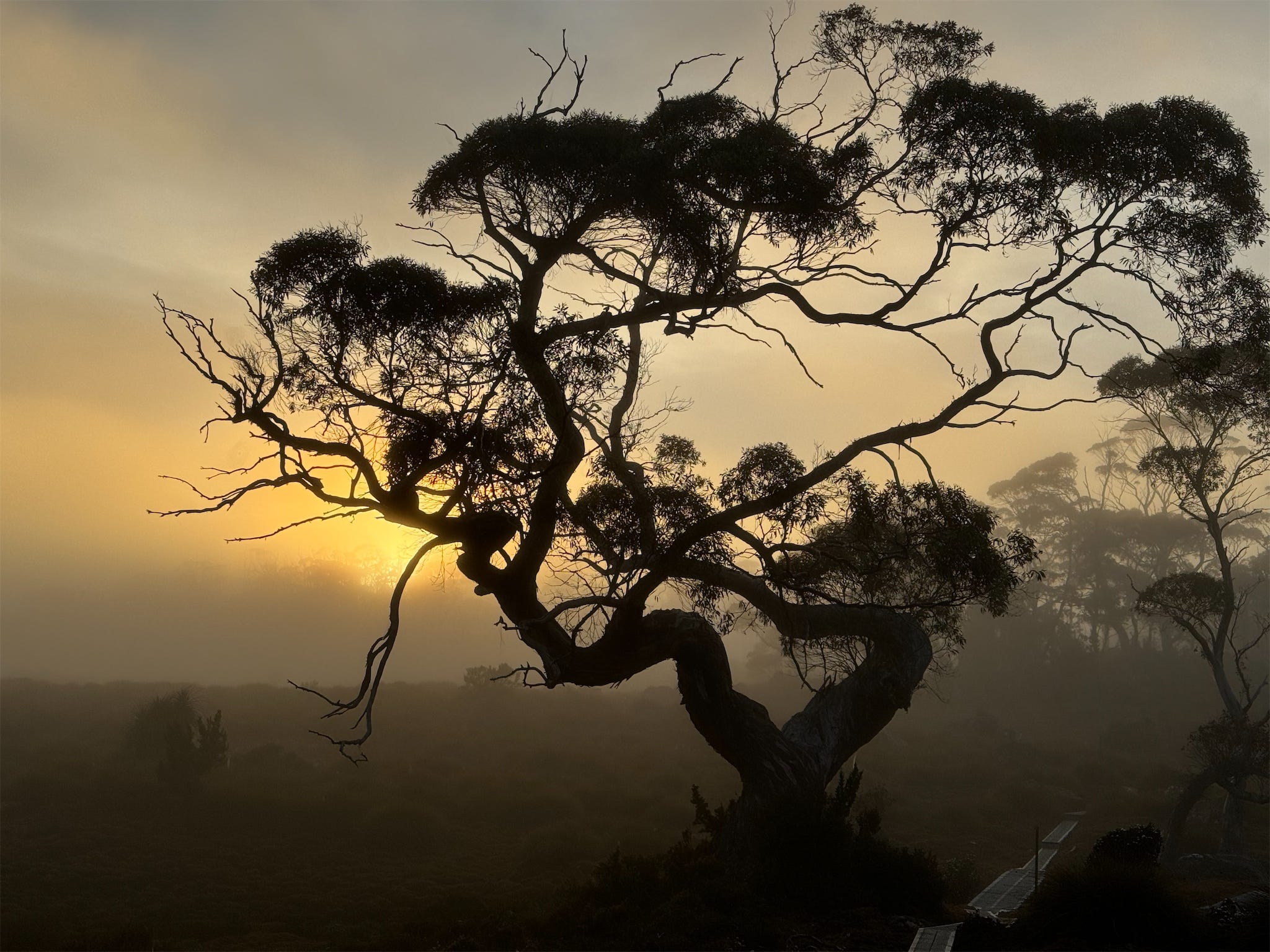 Getting up early to catch the light by David Brewster
