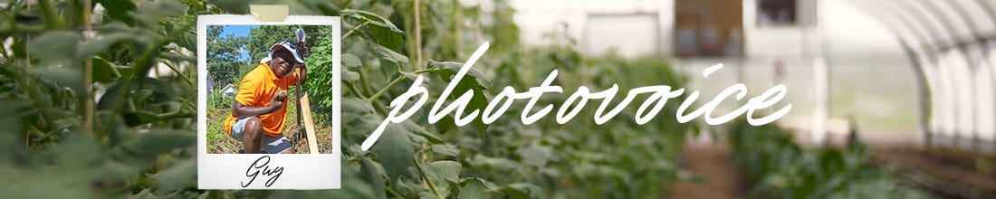 A close up of plants in a greenhouse with the word 'photovoice' in the middle and an image of a man with his name 'Guy' below it. 