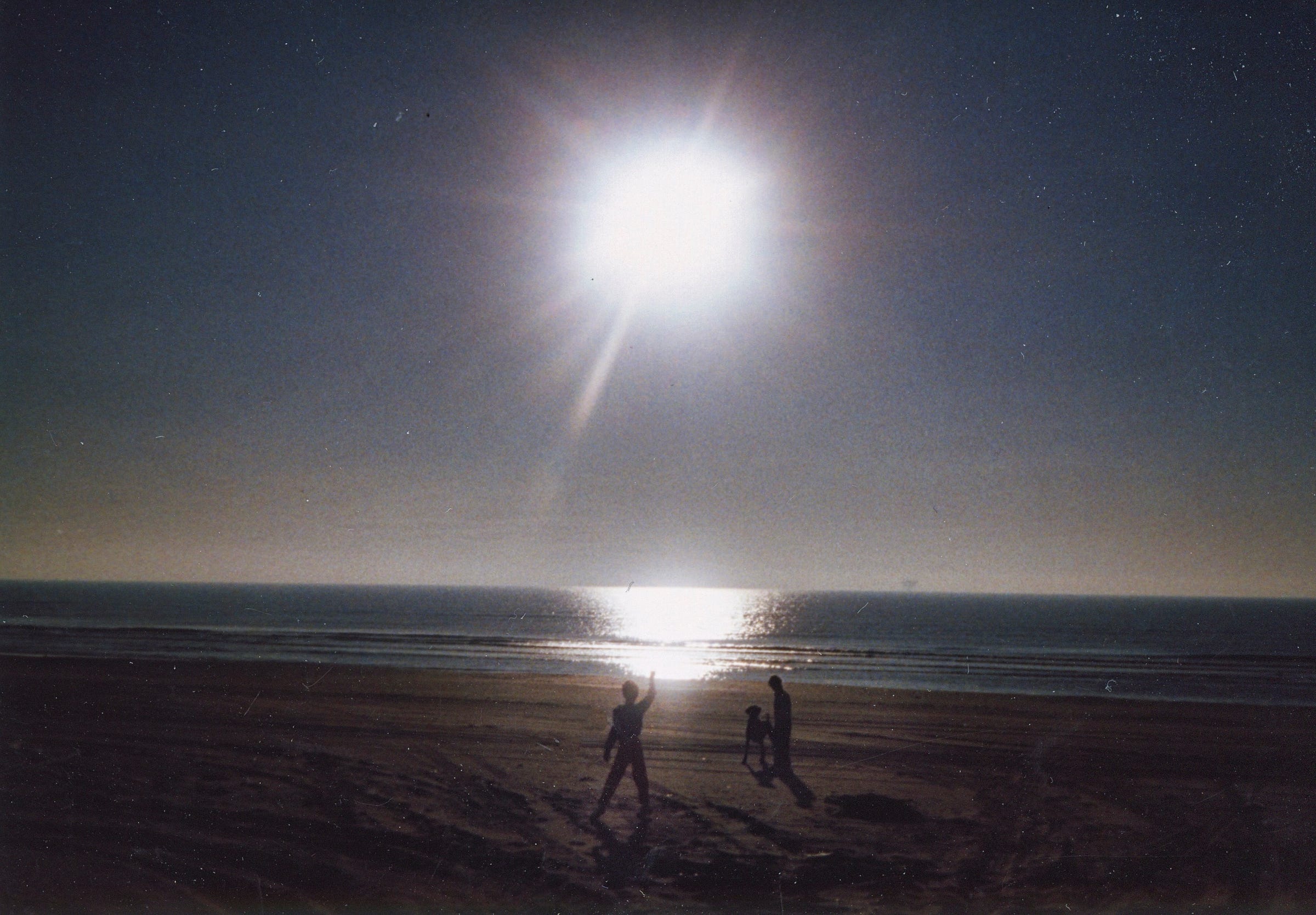 The setting sun creates a white glow over the beach reflecting on the water; the shadows of two people and a dog are backlight by the sun as they play on the shore