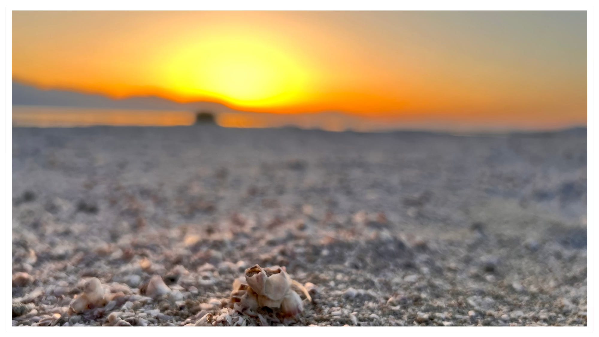 ground covered in fractured fish skeletons, sunset in the distance: Salton Sea